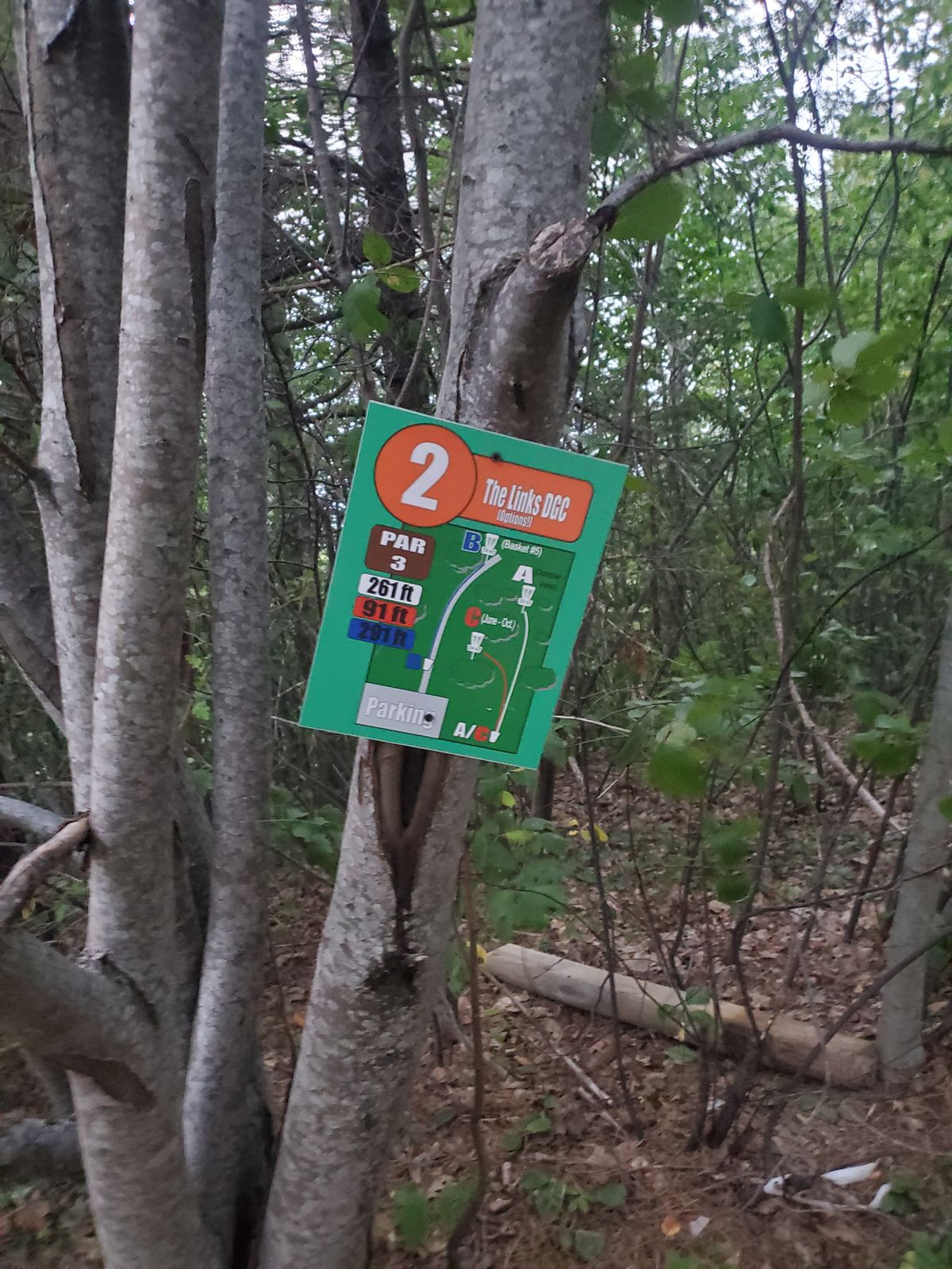 New tee box maps! 
This one shows the 2 different basket locations on 2 for the splash pad, and the alternative 2 to basket 5