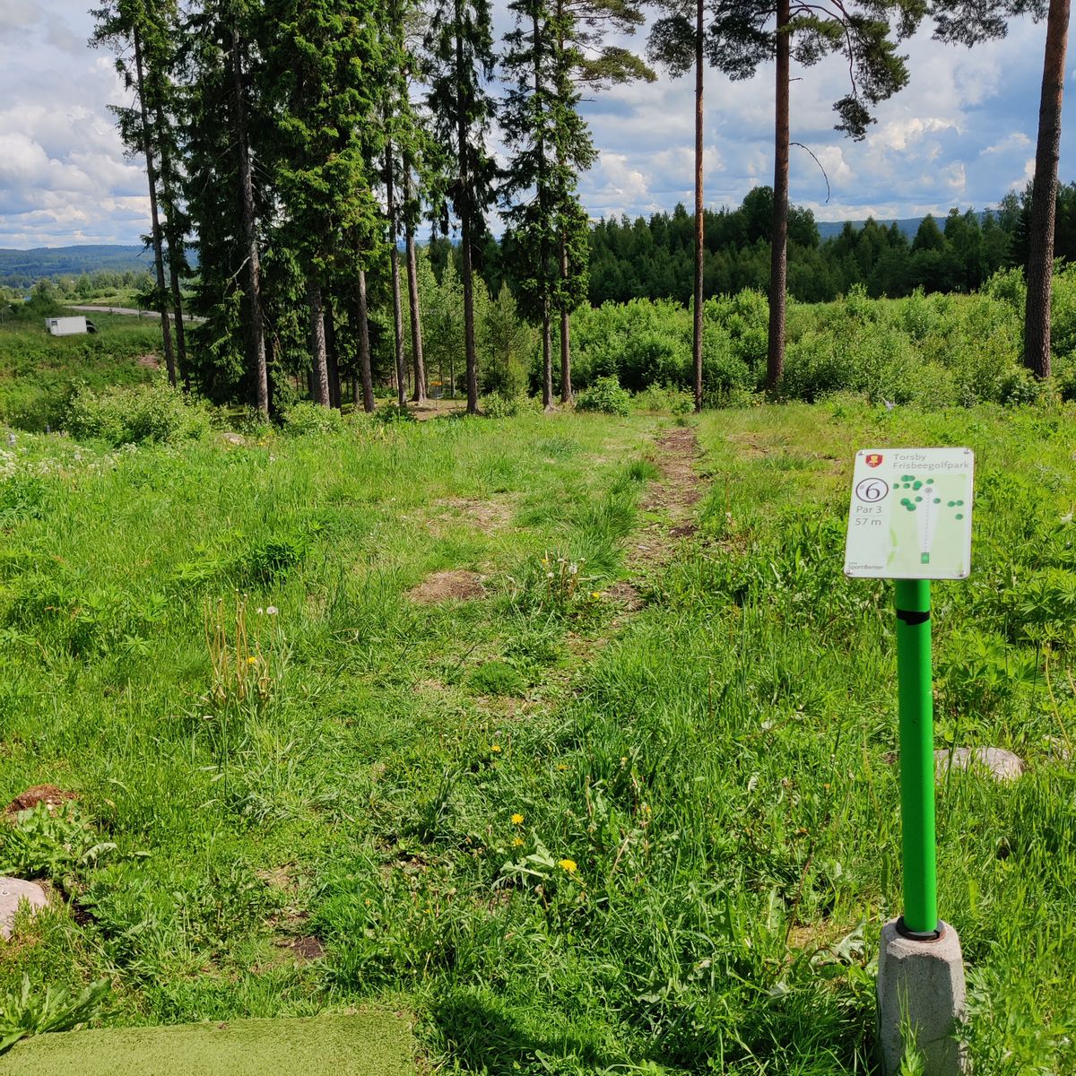 Tee 6