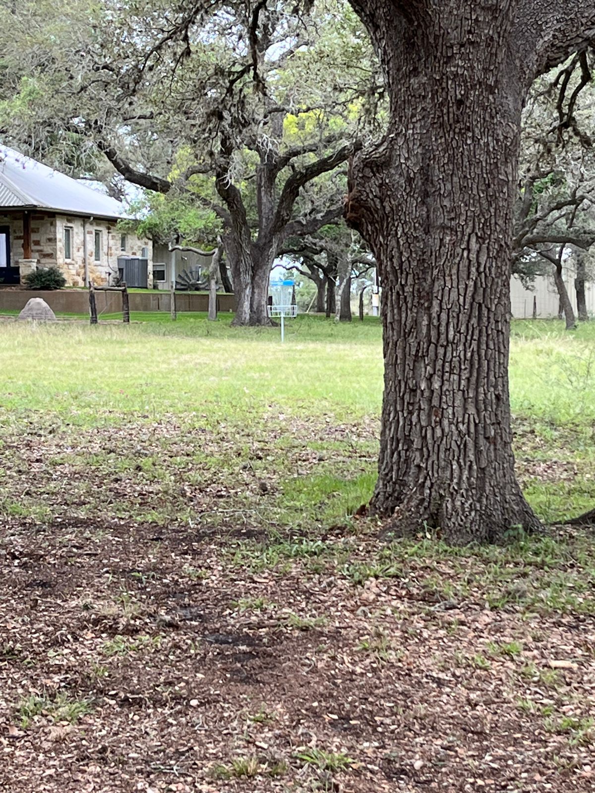 Hole 9 - just one more tree