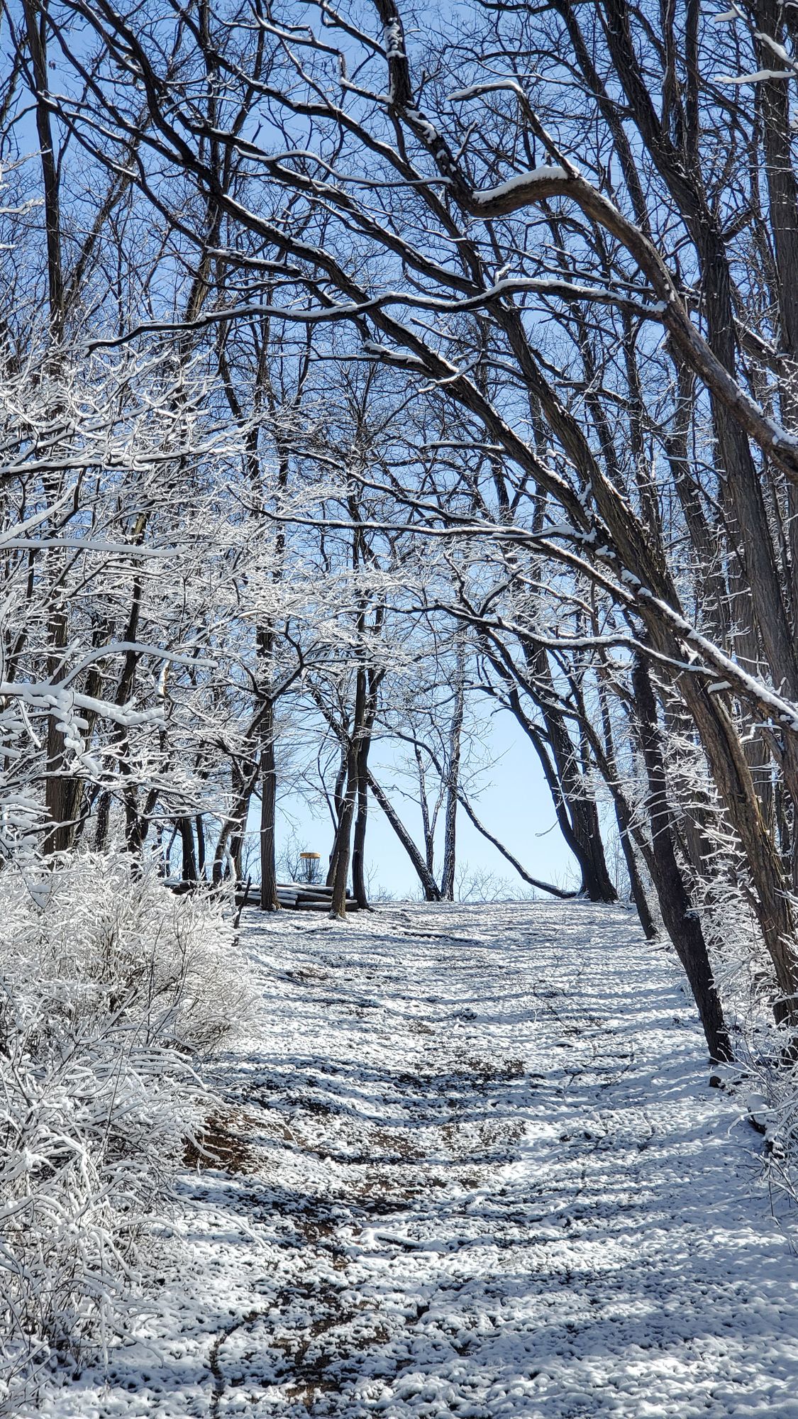 Snow covered Hole 2 - Feb 24, 2024