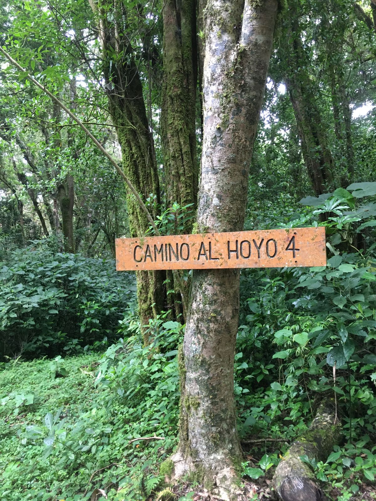 Sign for Hole 4