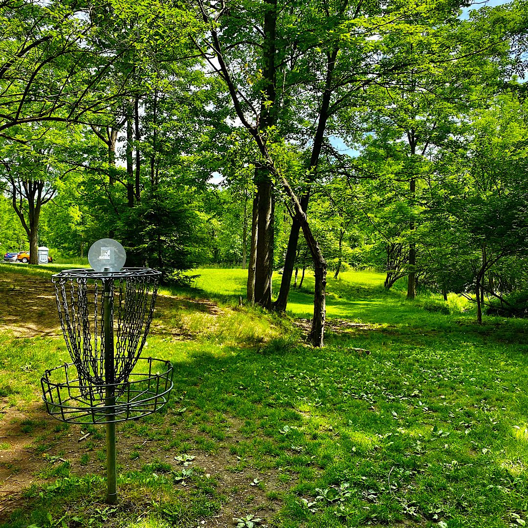Hole #5 Basket to Tee