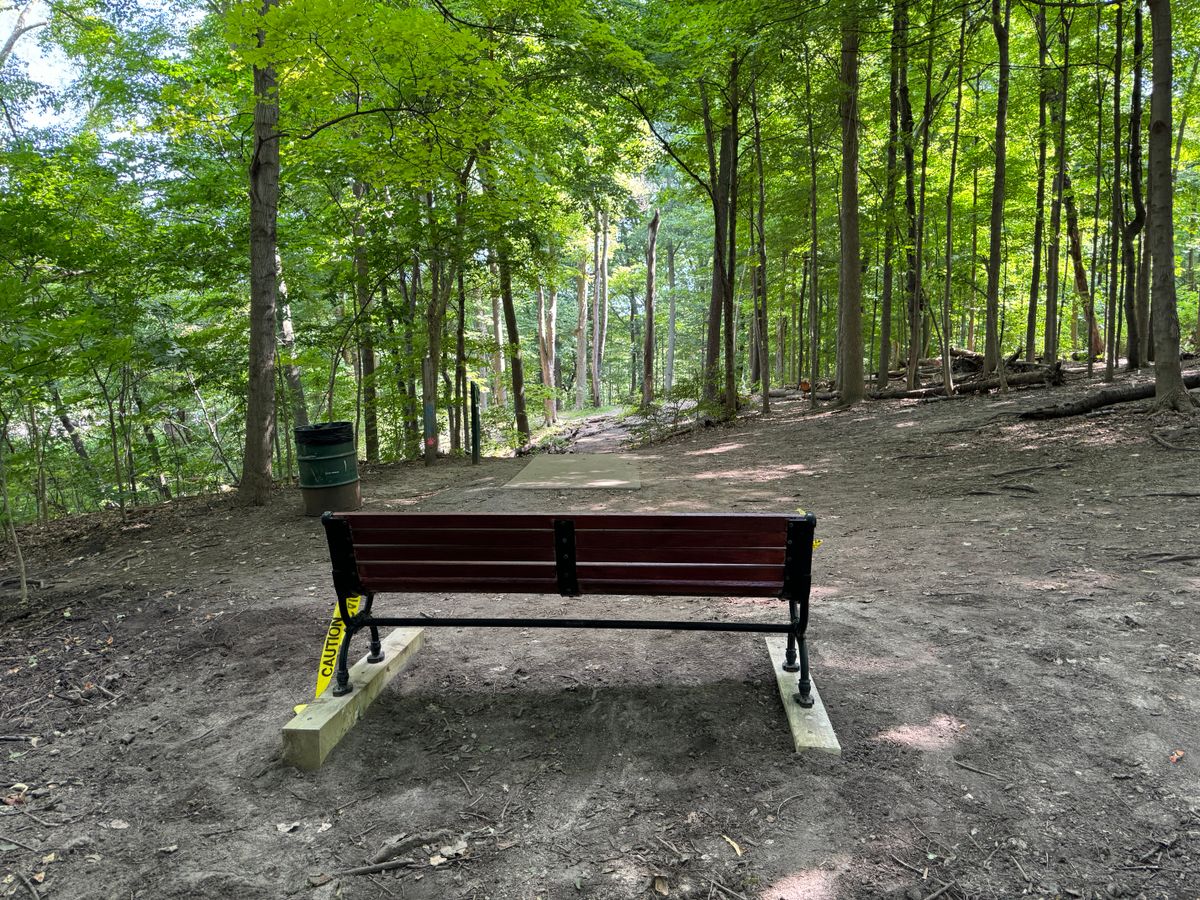 Hole 10 bench