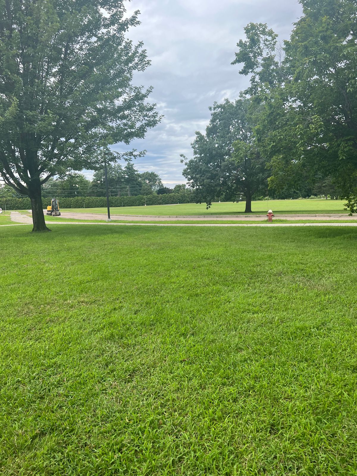Hole 3 tee pad, basket down to the left