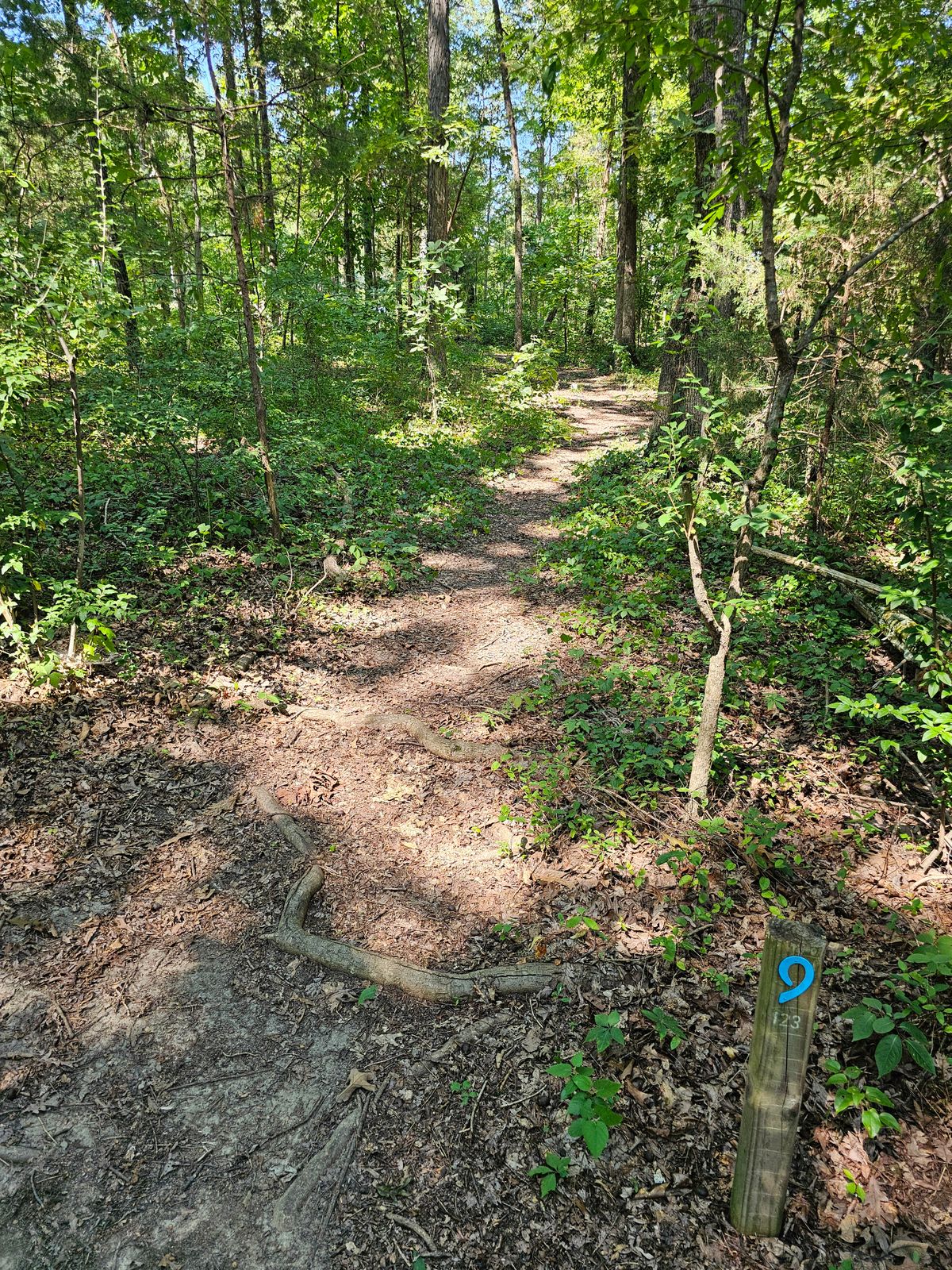 Hole 9