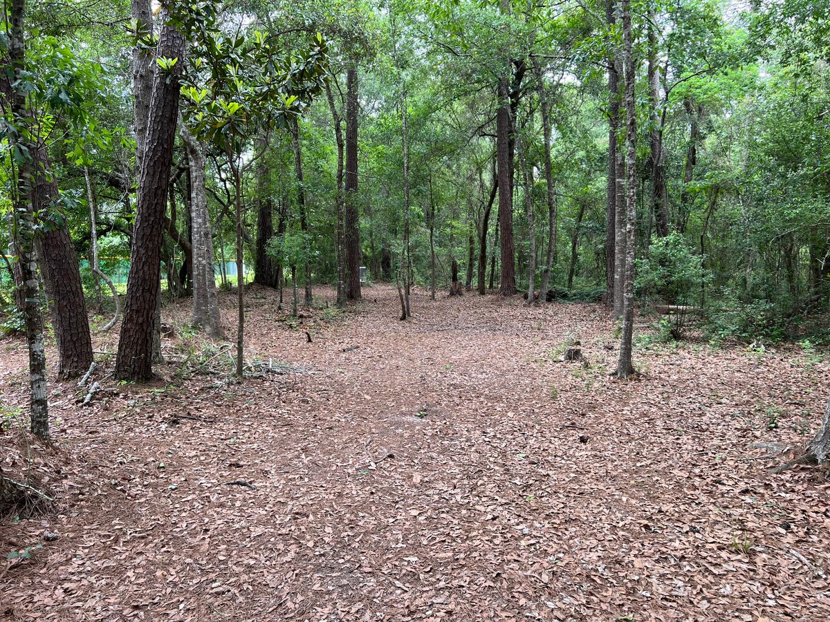 Hole 7 Red