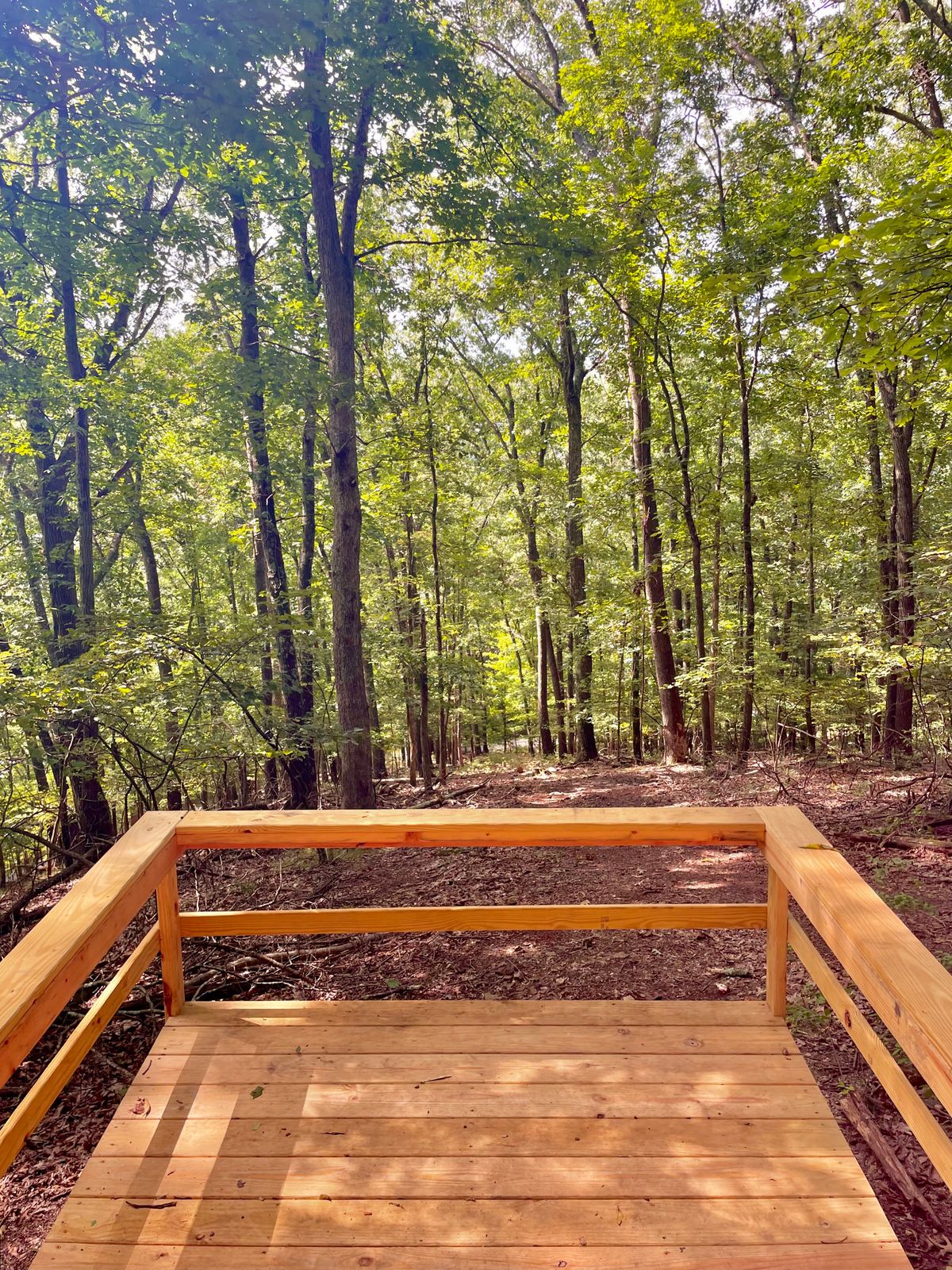 Hole 17 teepad