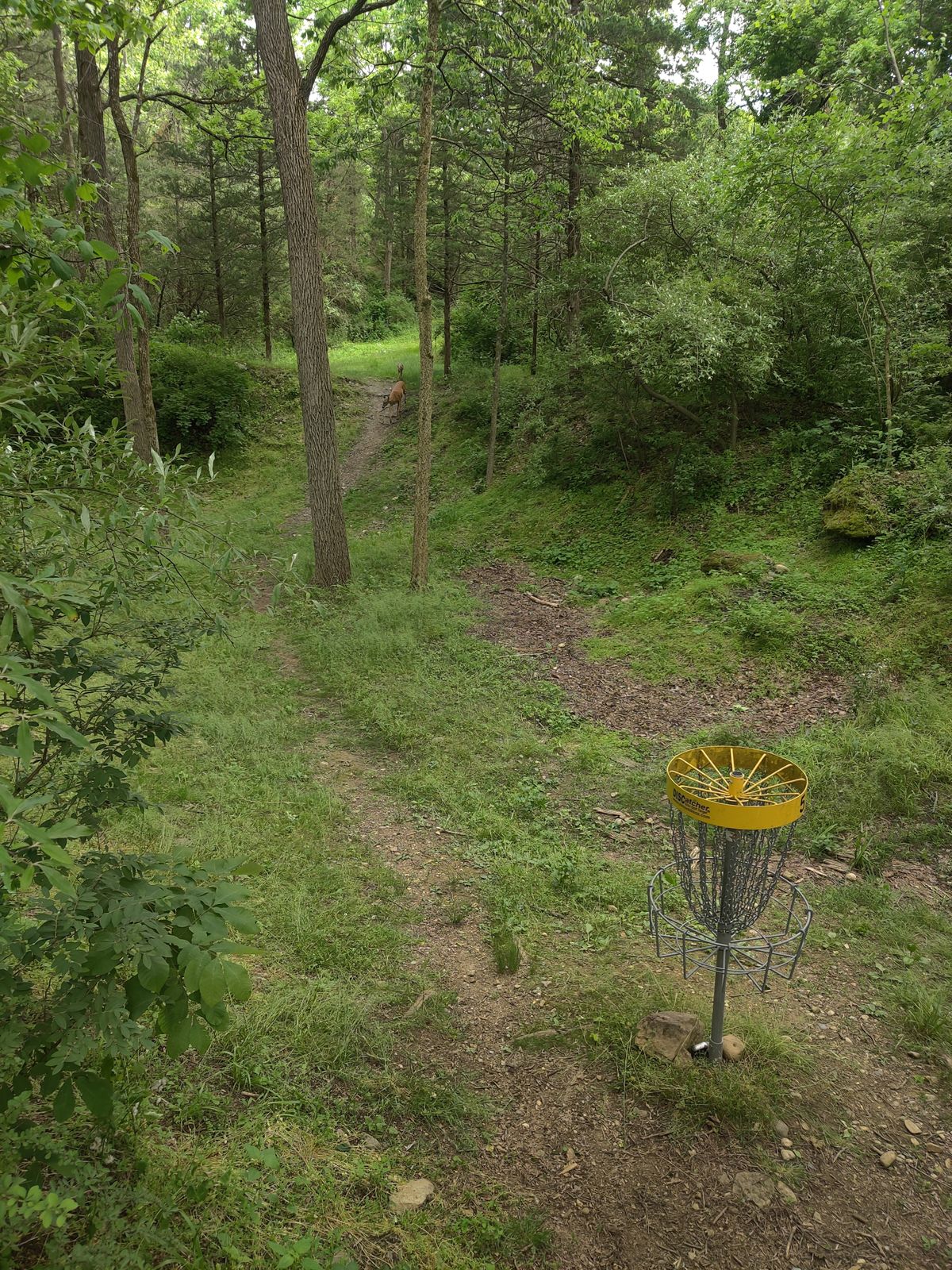 basket location