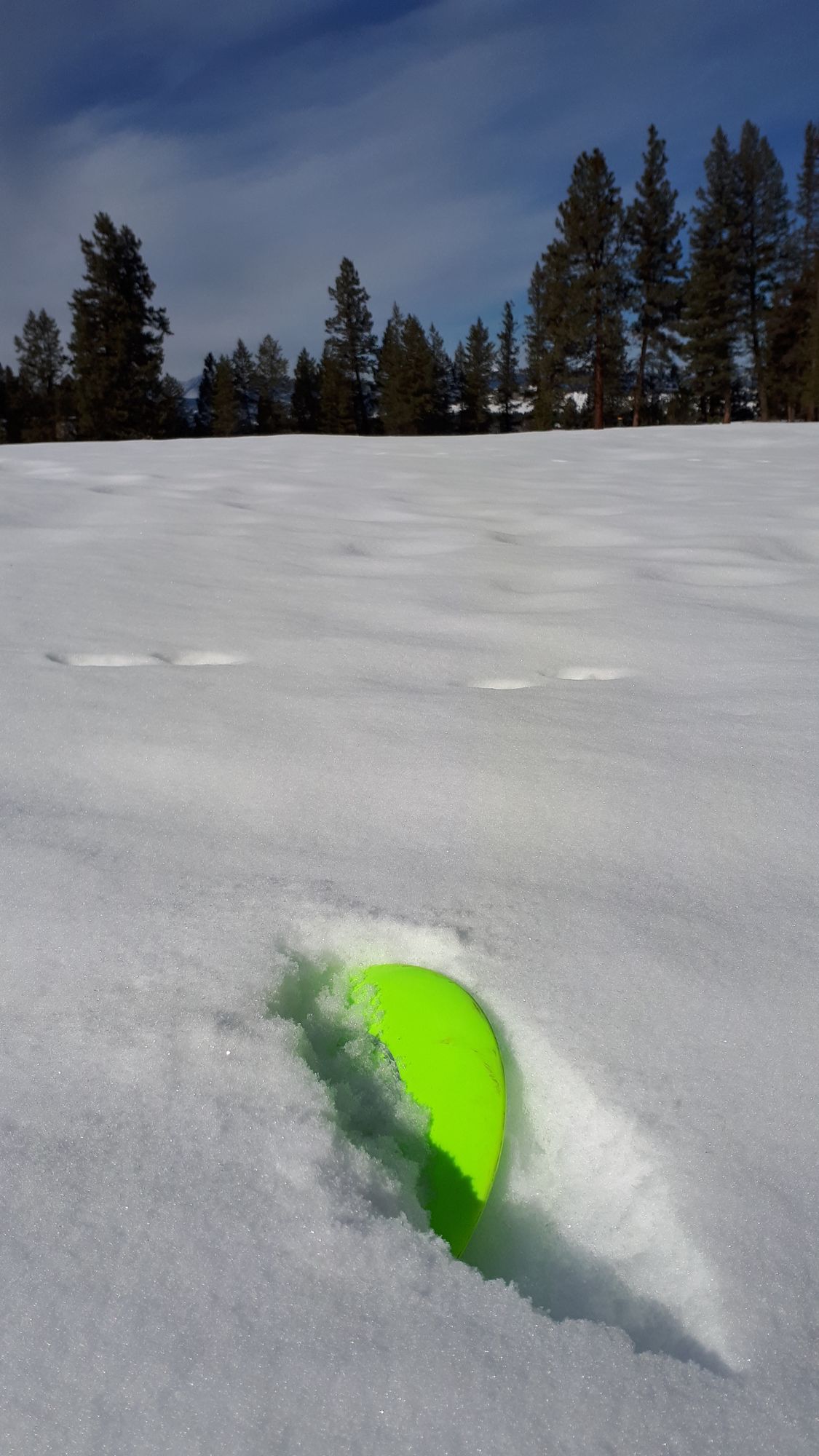 20cm Firm snow captures disc