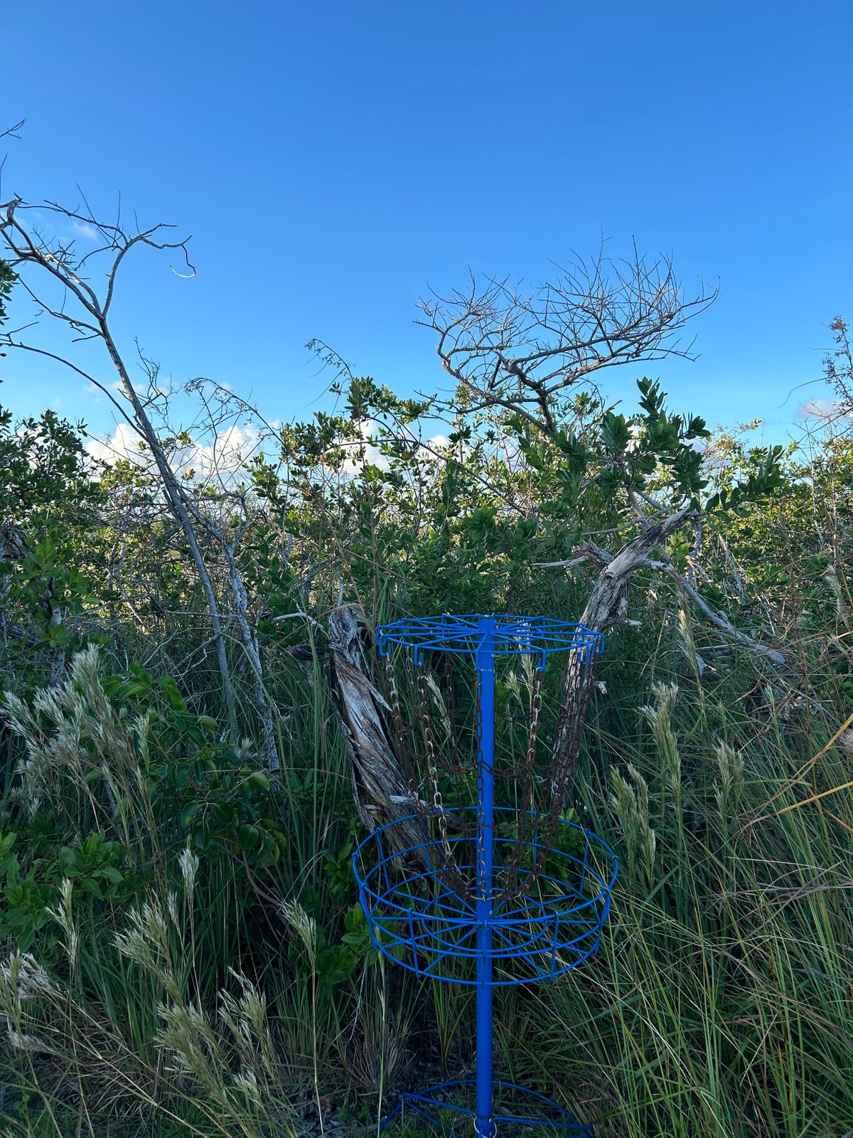 Hole 3/6