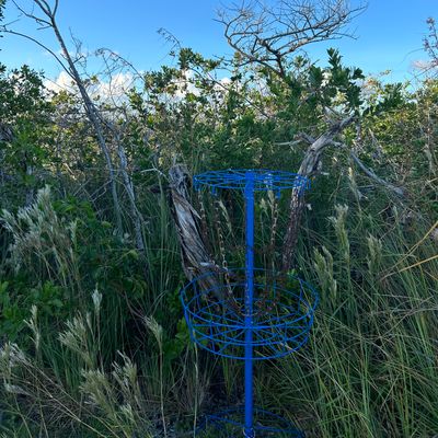 Hole 3/6