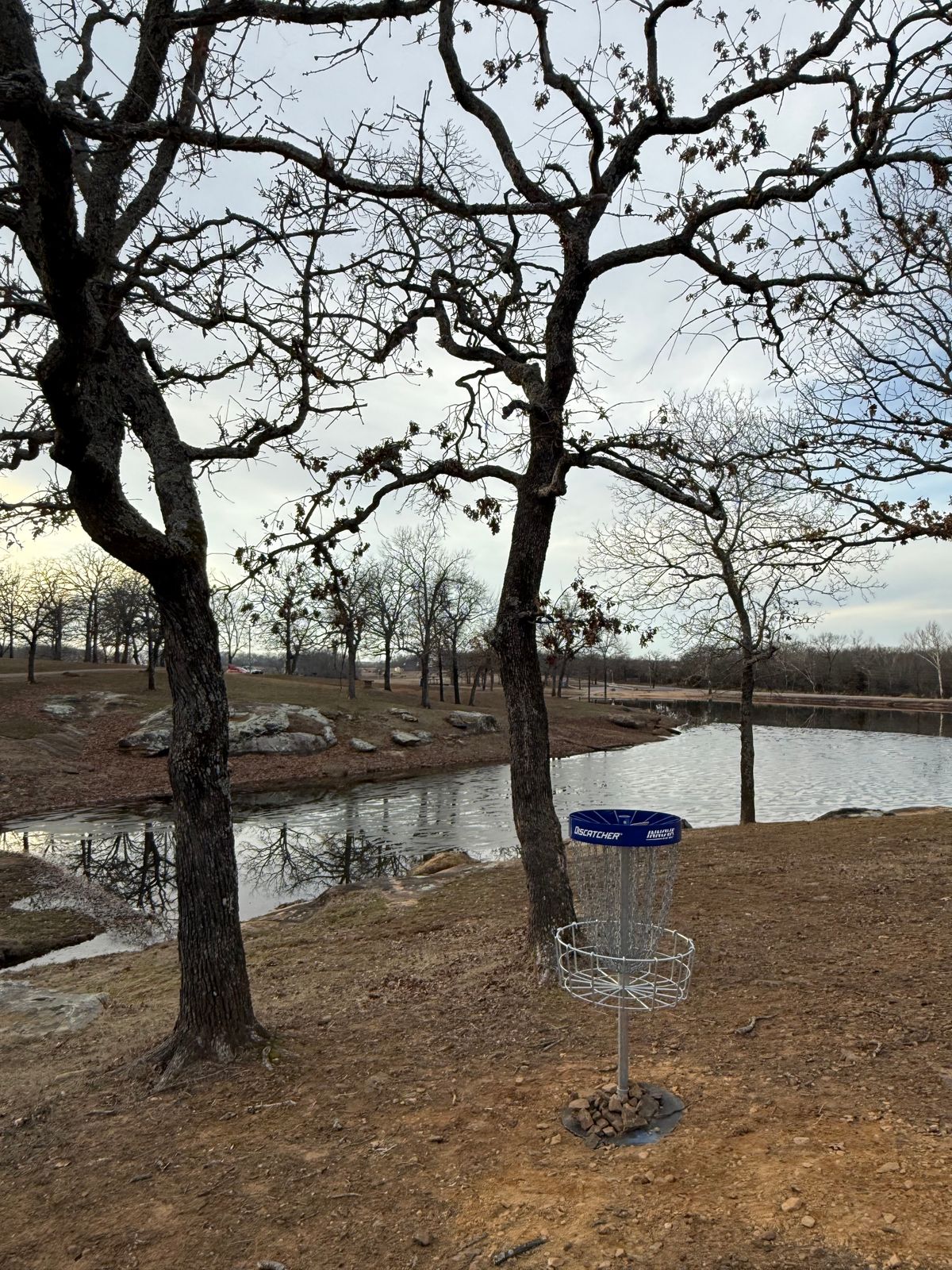 Hole 16 (Shorts) basket