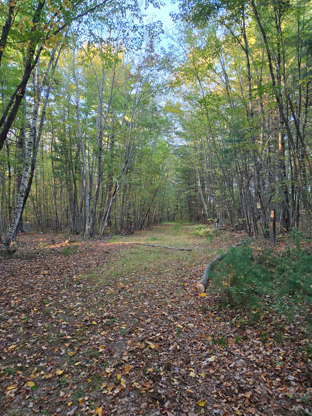 Hole 13 basket- Temp course