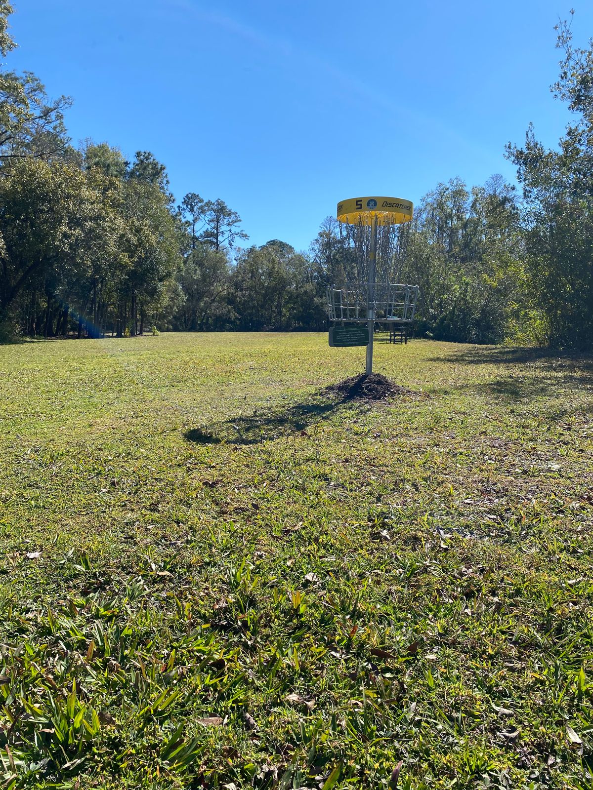 Hole 5 basket.