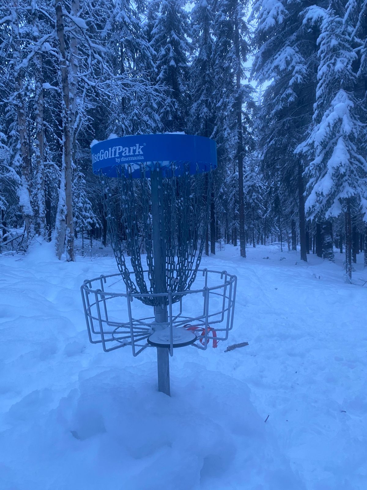 Hole 9; -20 C