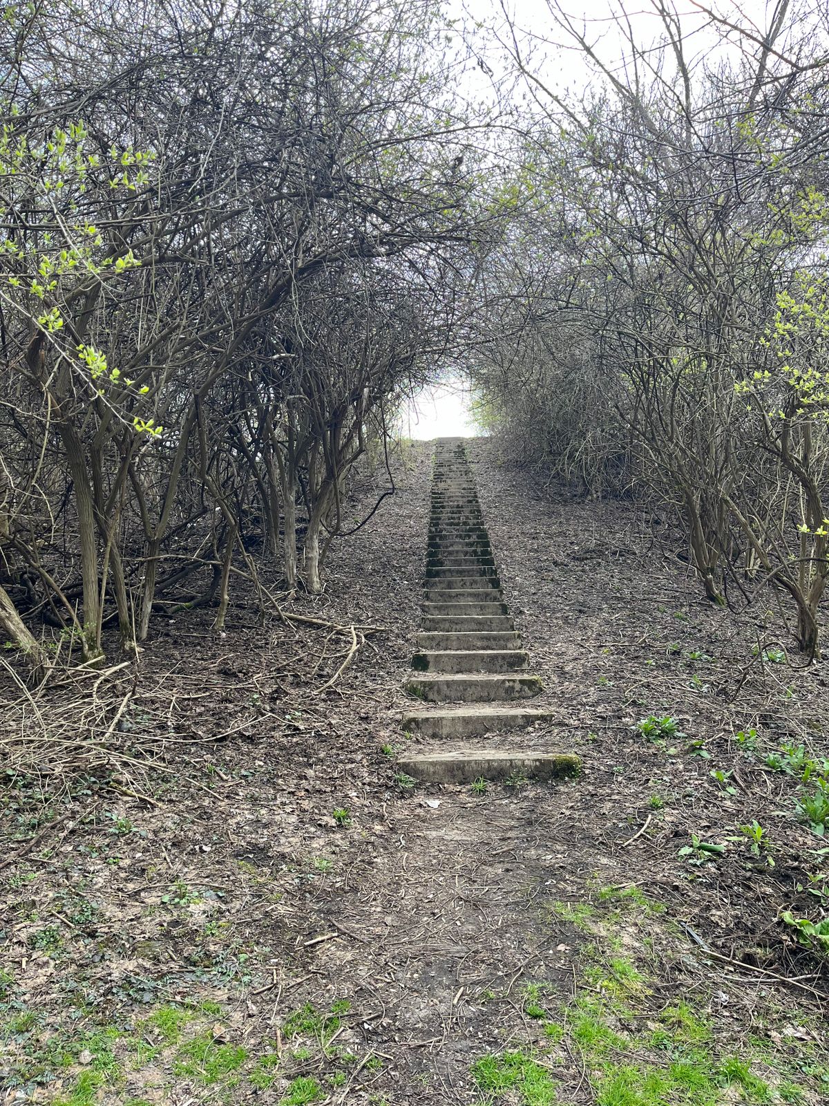 Stairway between hole 12 and 13