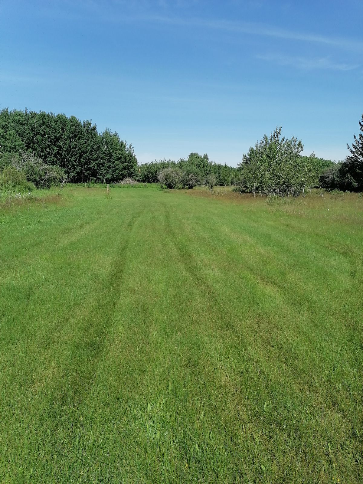 Looking towards #5 tee from fairway
