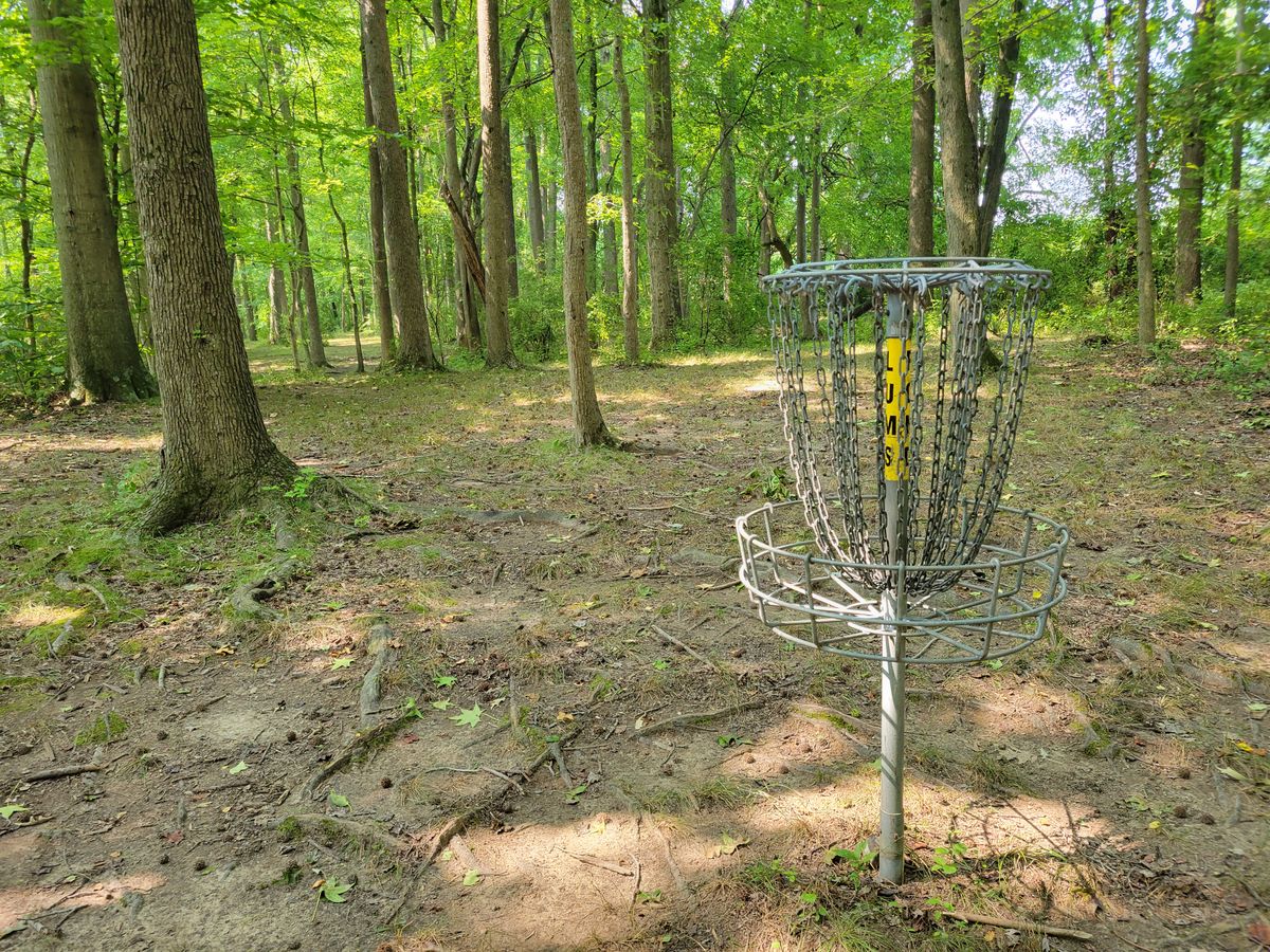 inside basket