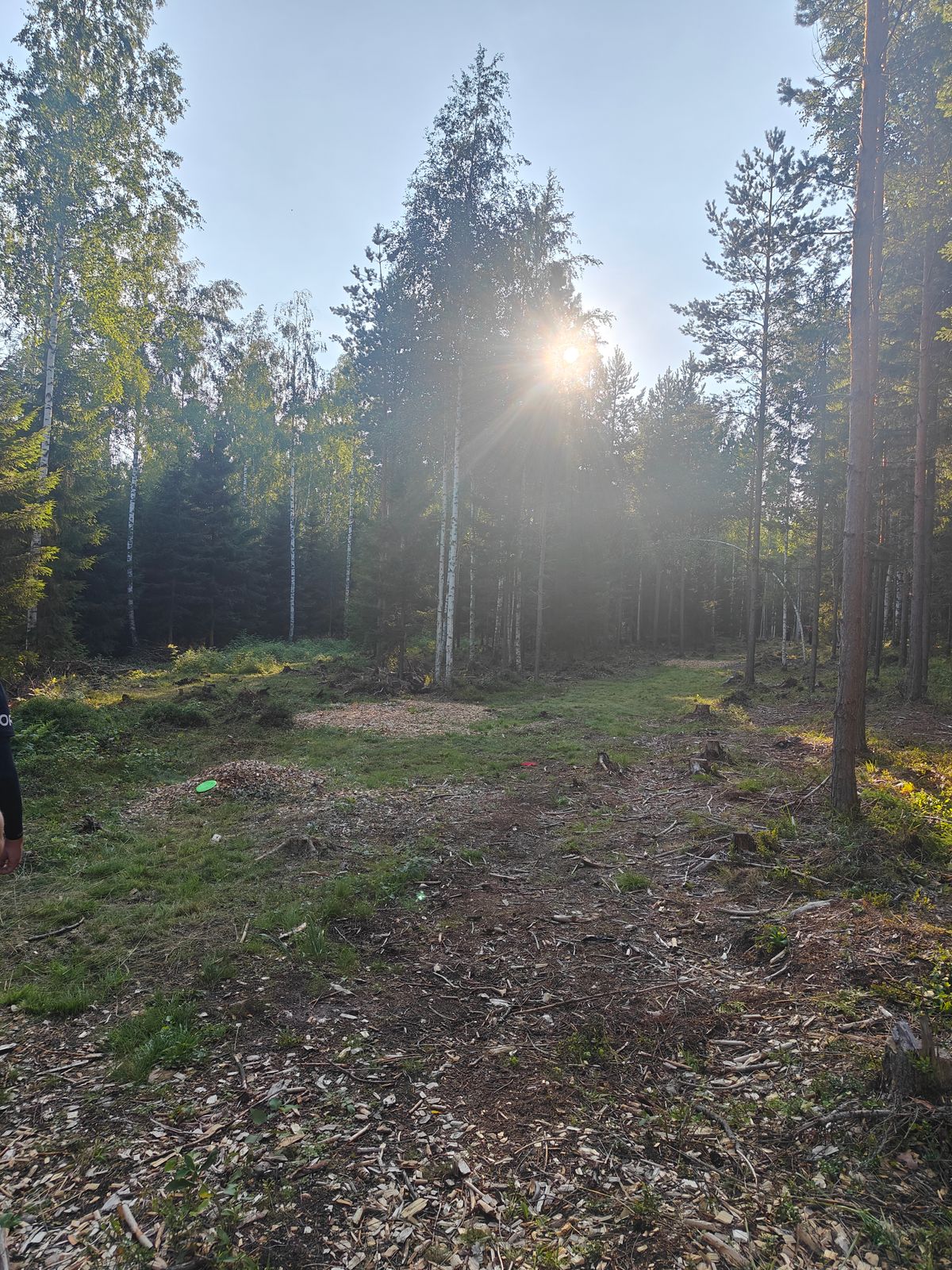 #9 väylä noin 50 m tiiltä korille päin.