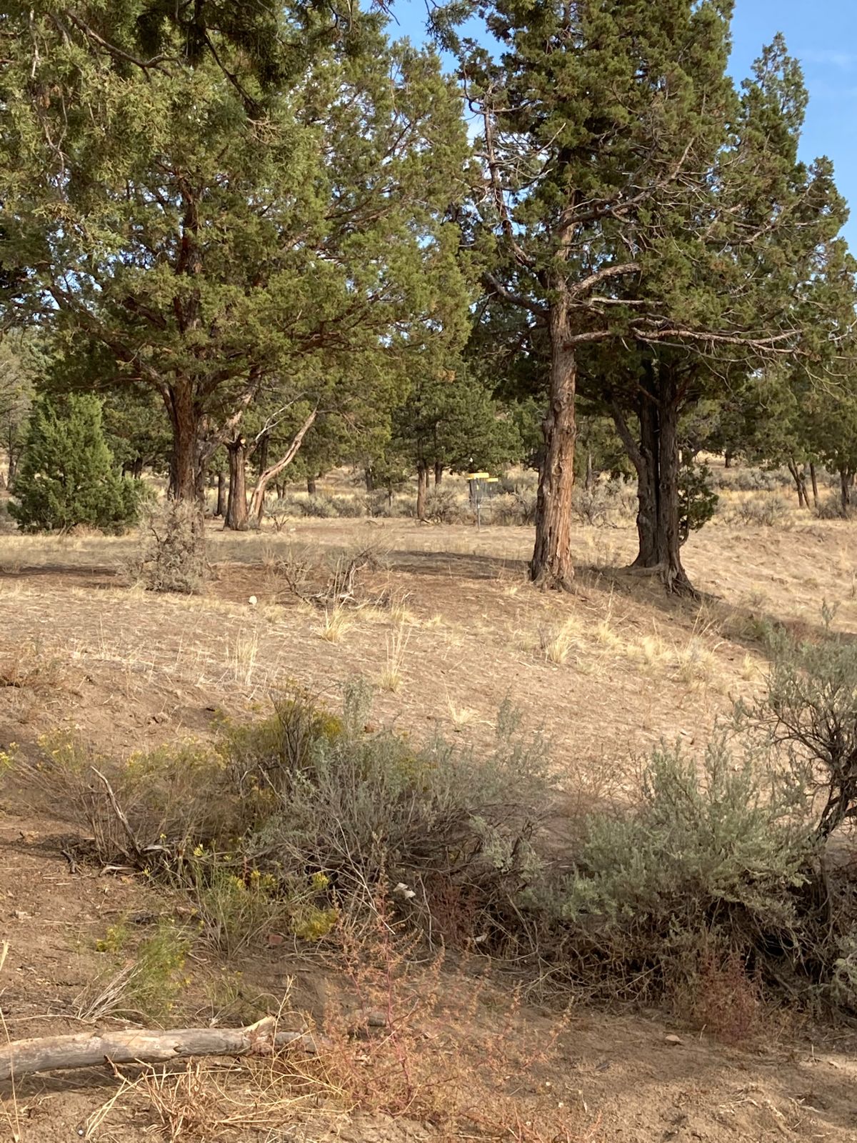Hole 1