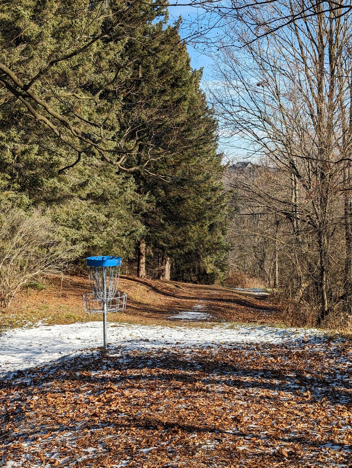 Looking back at the fairway on hole 4