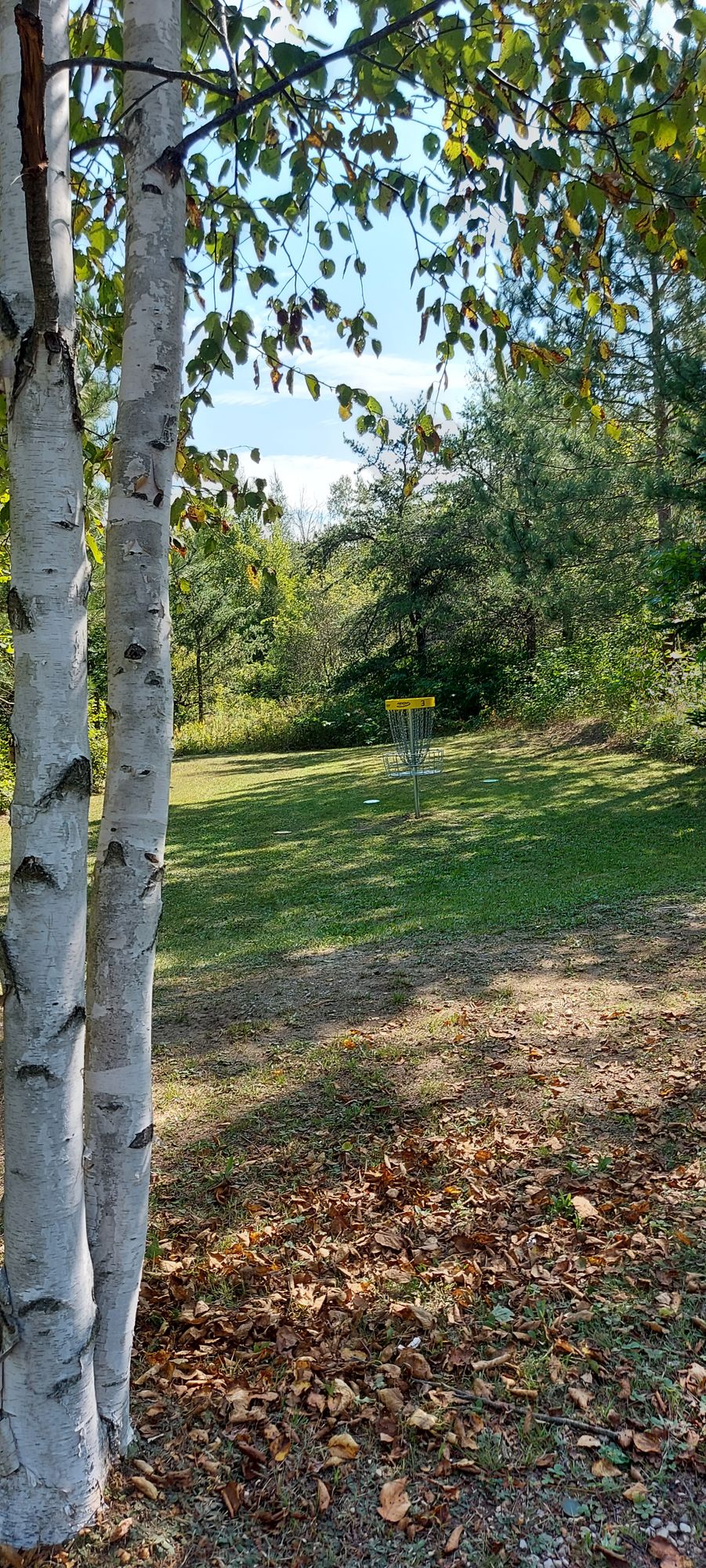 Upshot on hole 3.☘🍂🍀🍂
