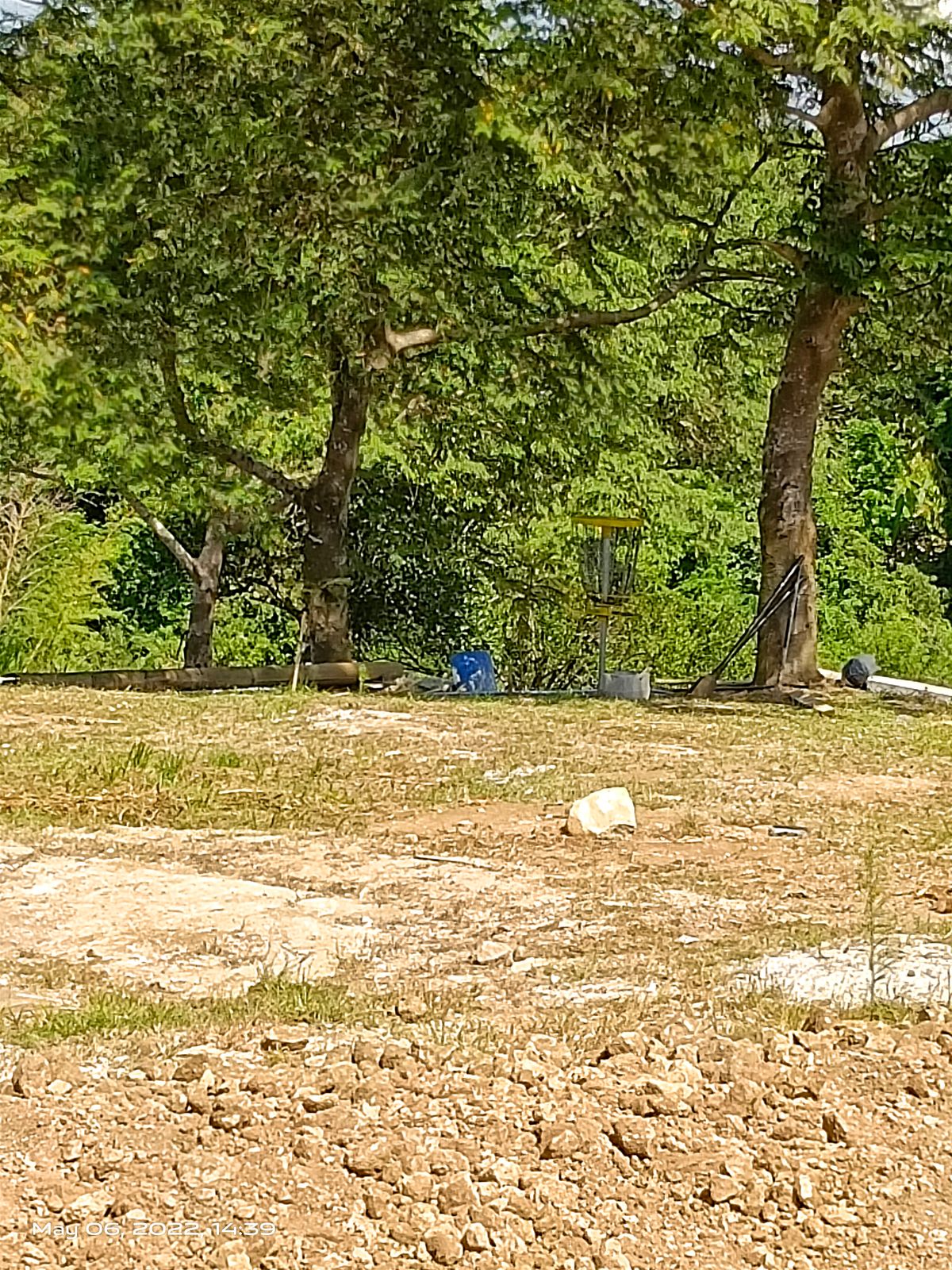 Basket is between the trees