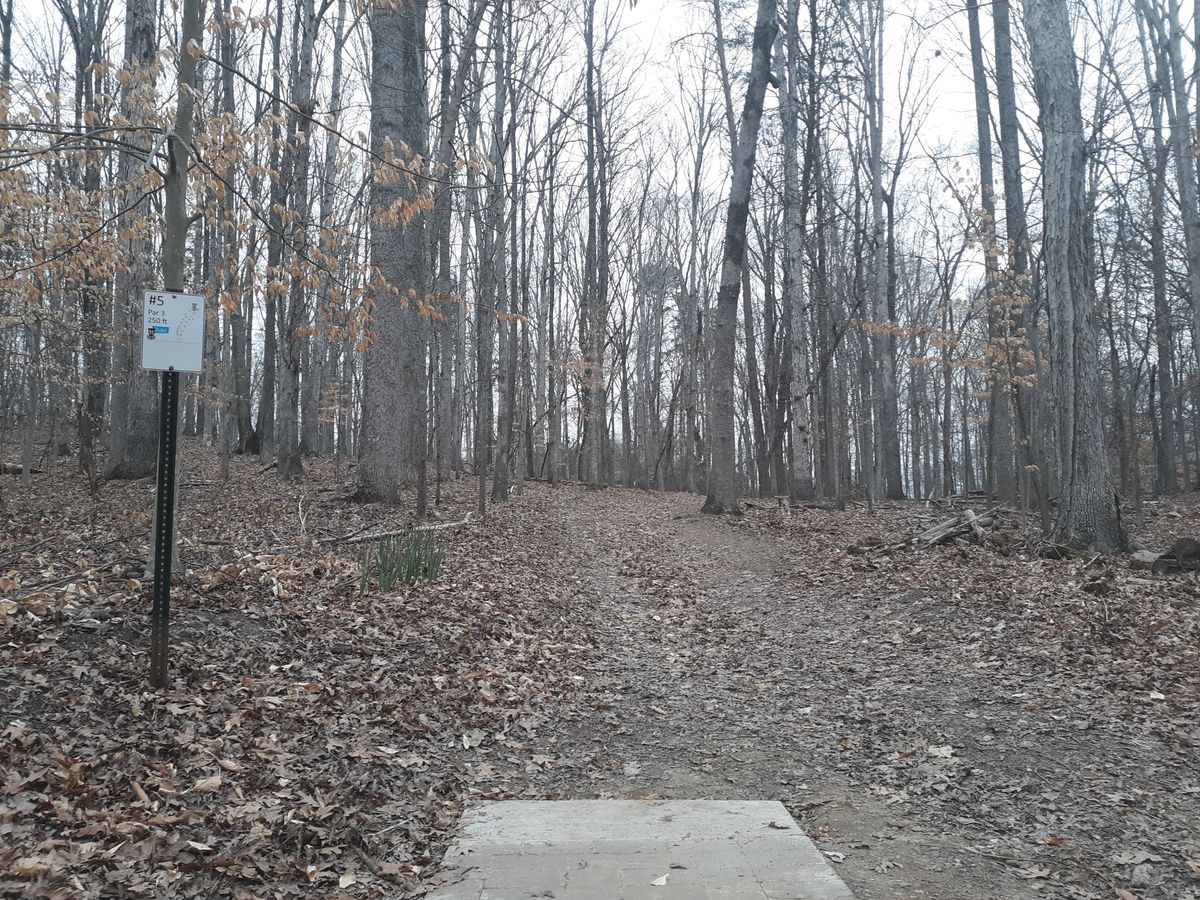 Hole 5