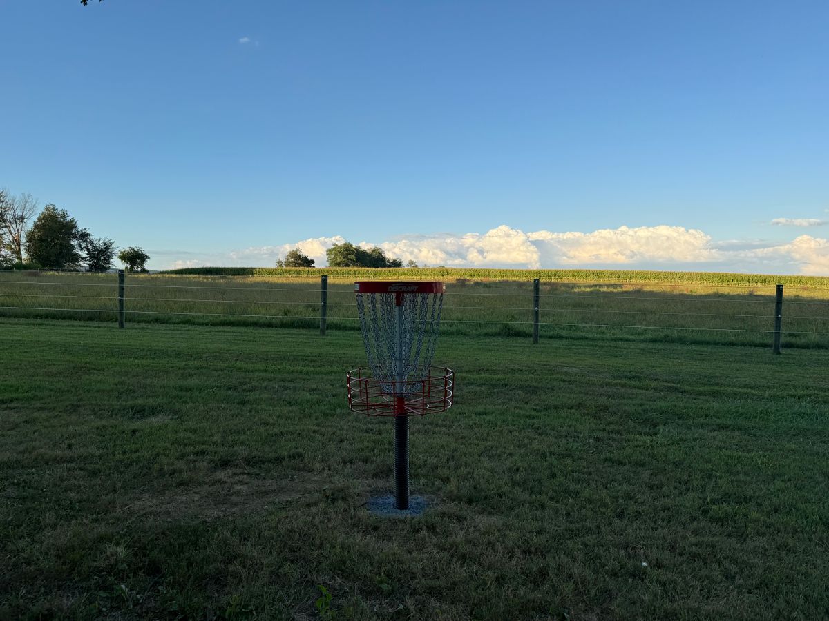 Hole 2 Basket