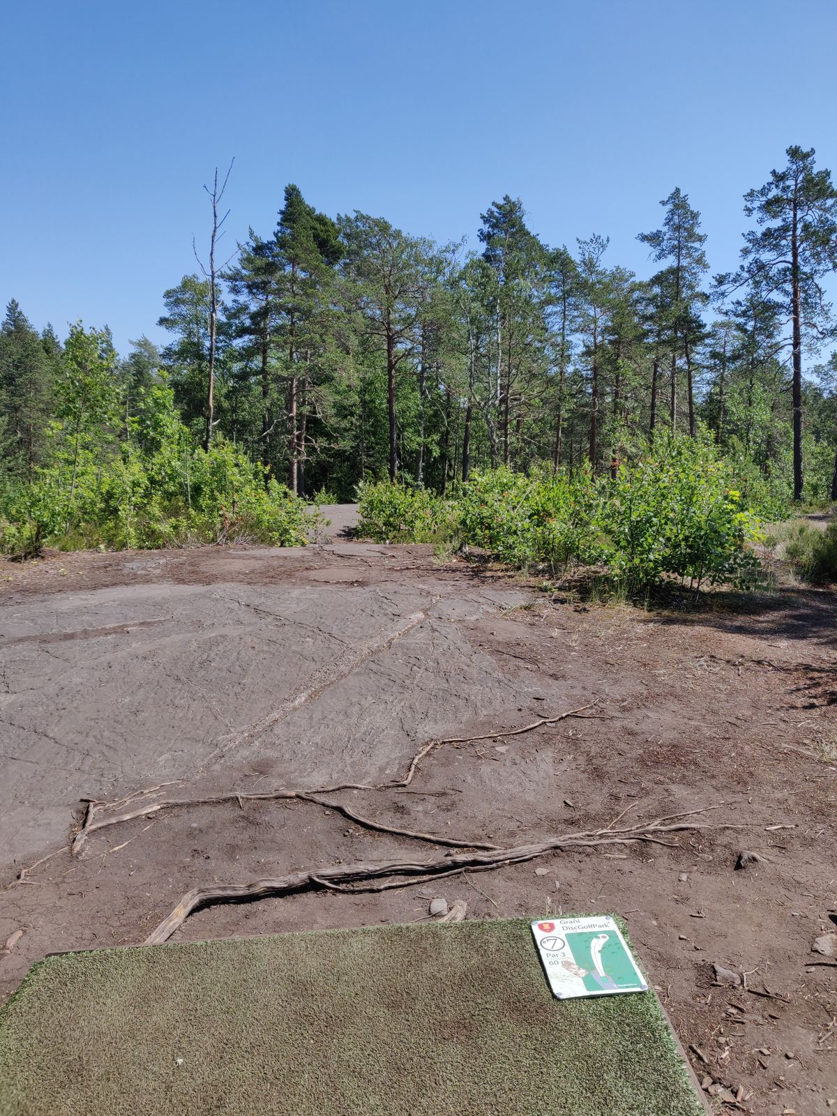 Väylä 7, lähes 90 asteen kulma oikealle heti metsikön alkaessa