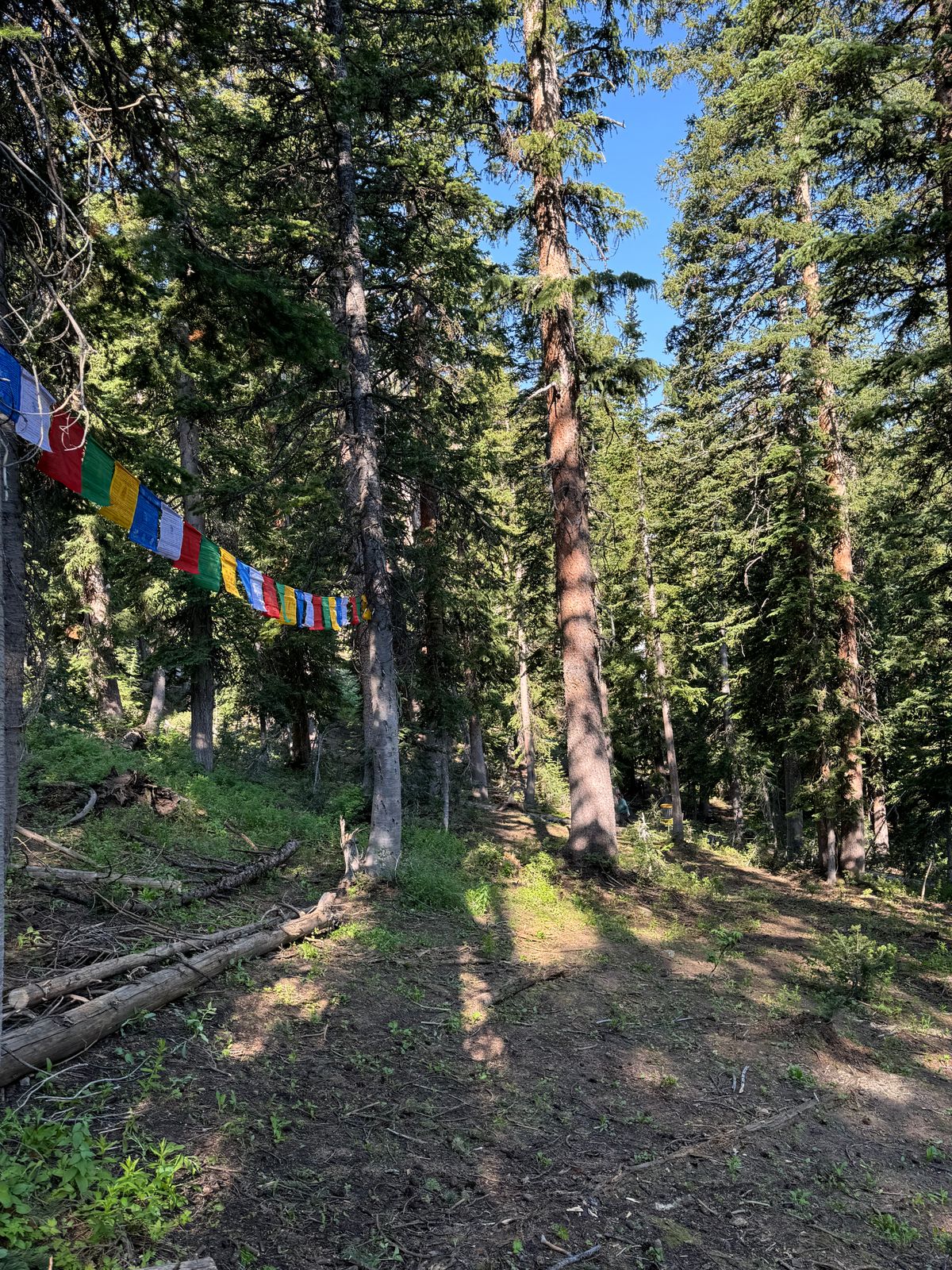 Prayer flags hole 9