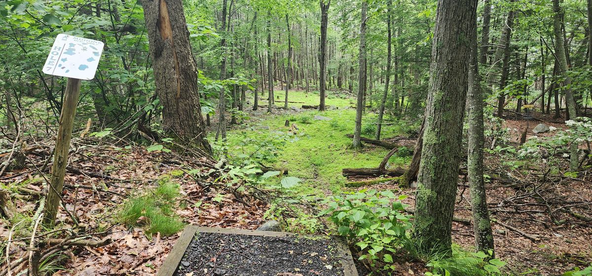 Hole 7