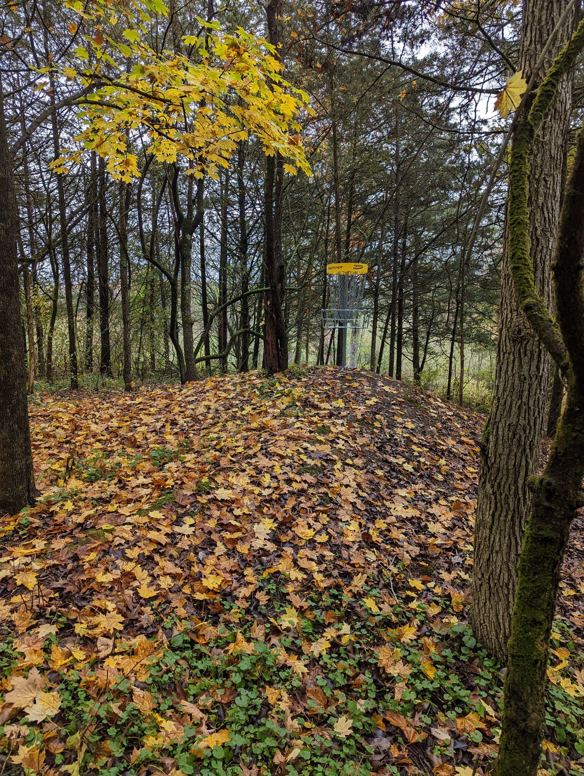 The anthill