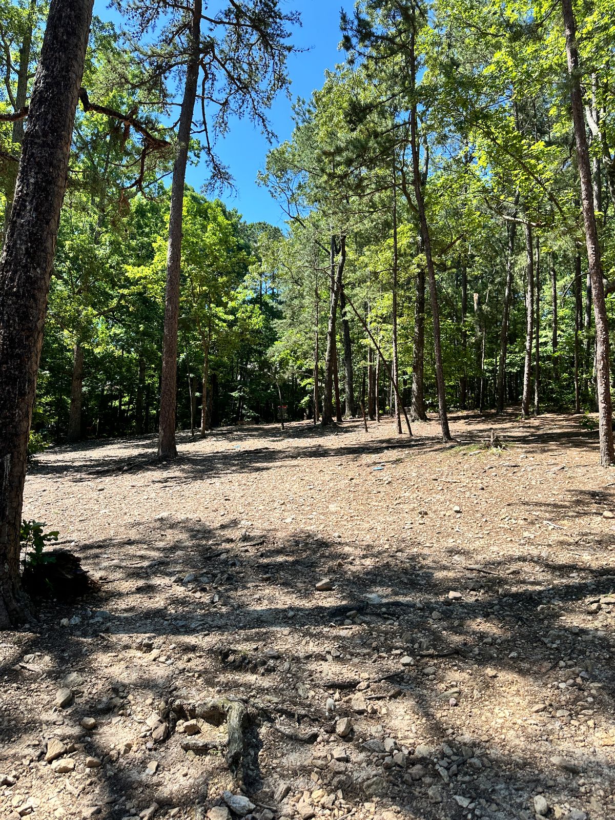 hole 7 tee shot