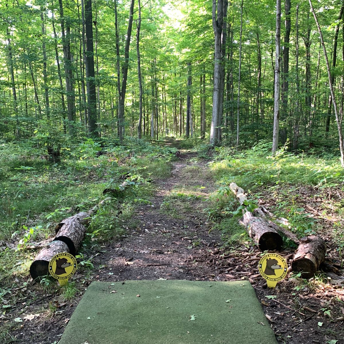 Hole 2 from the short tee.