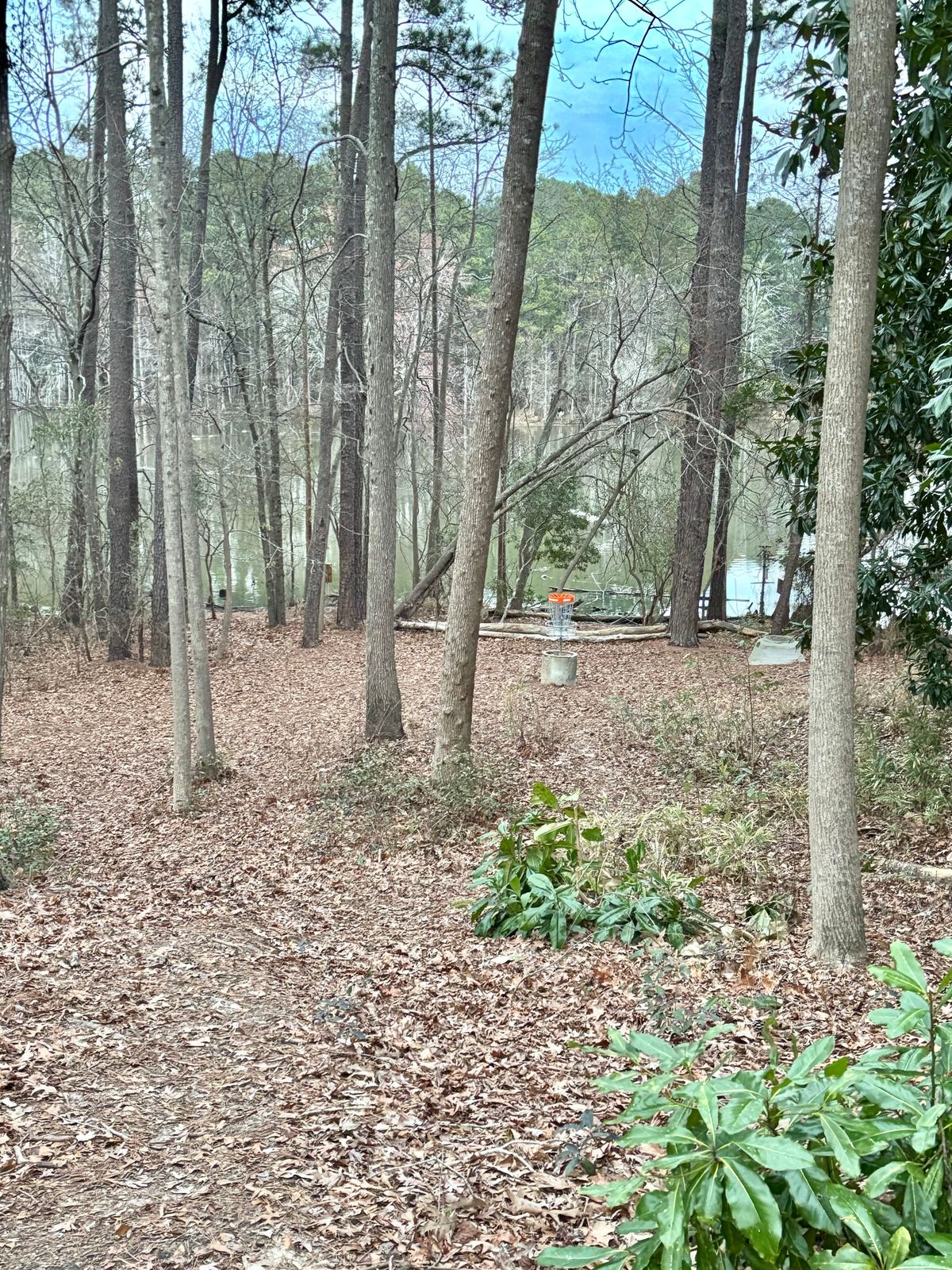 Hole 16 Approach