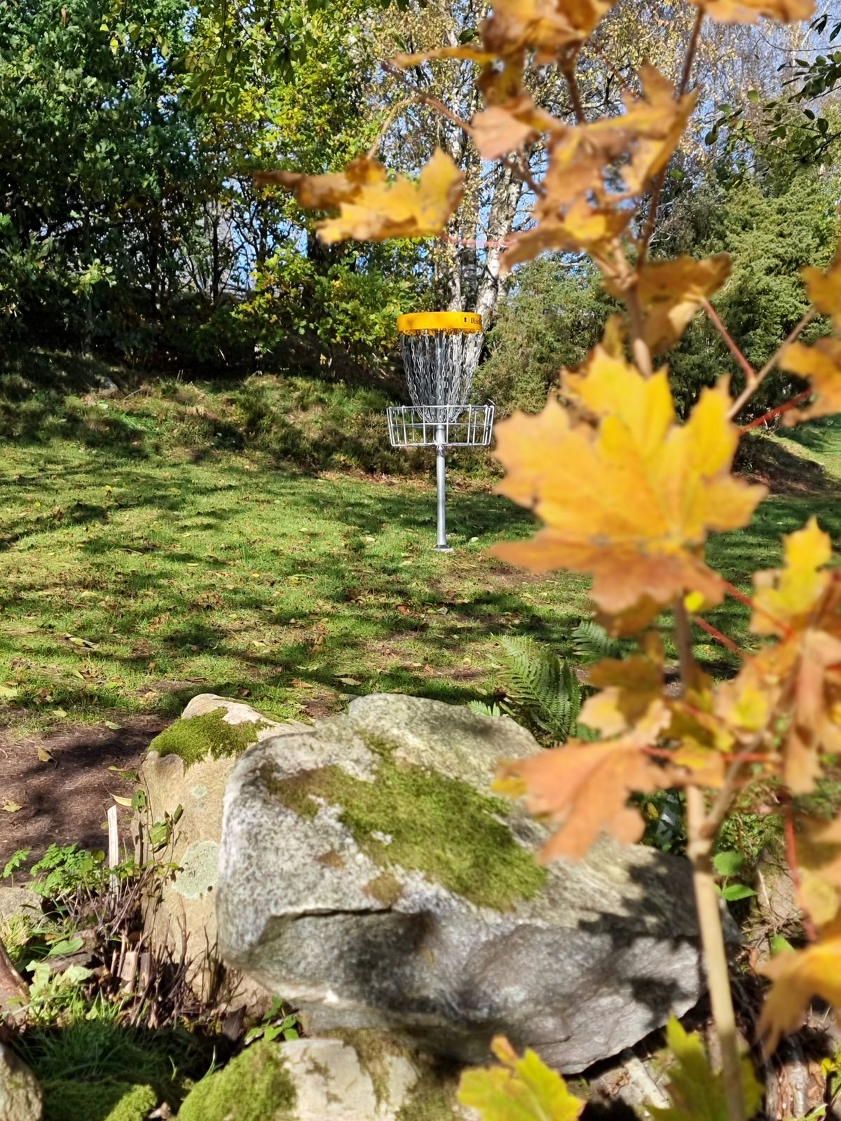 Basket on hole 17