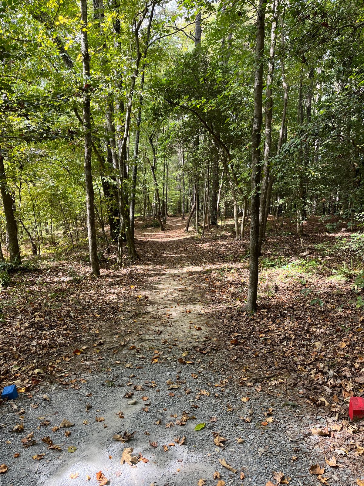 Hole 10: blue/red tee