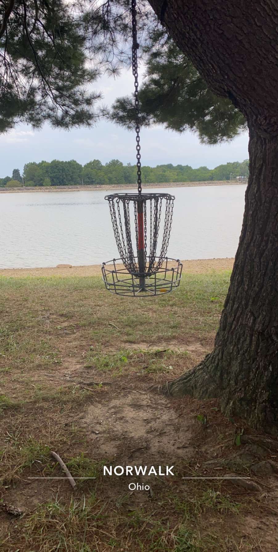Cool hanging basket at GBH