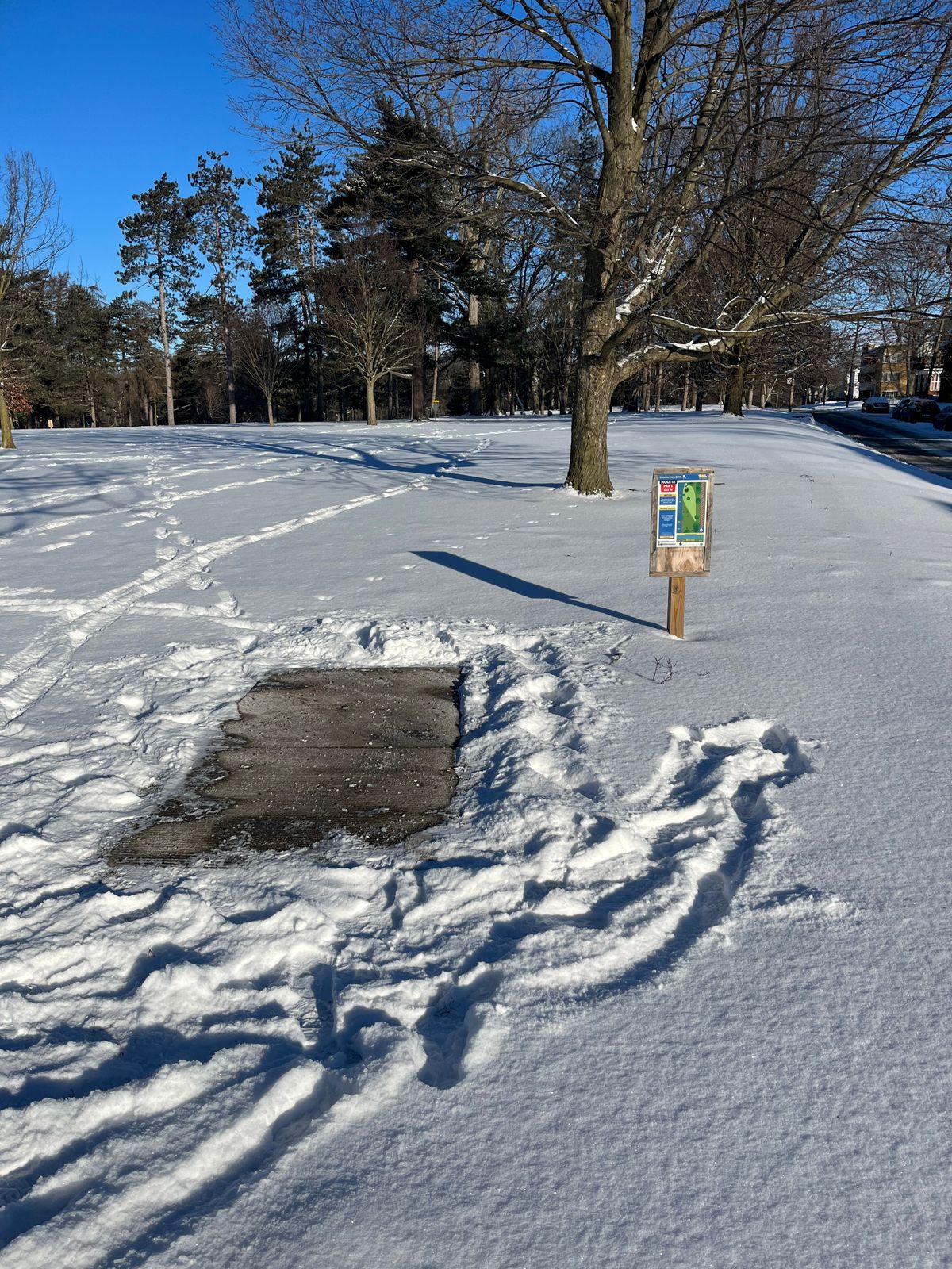 Tee pad on 13 Jan 2024