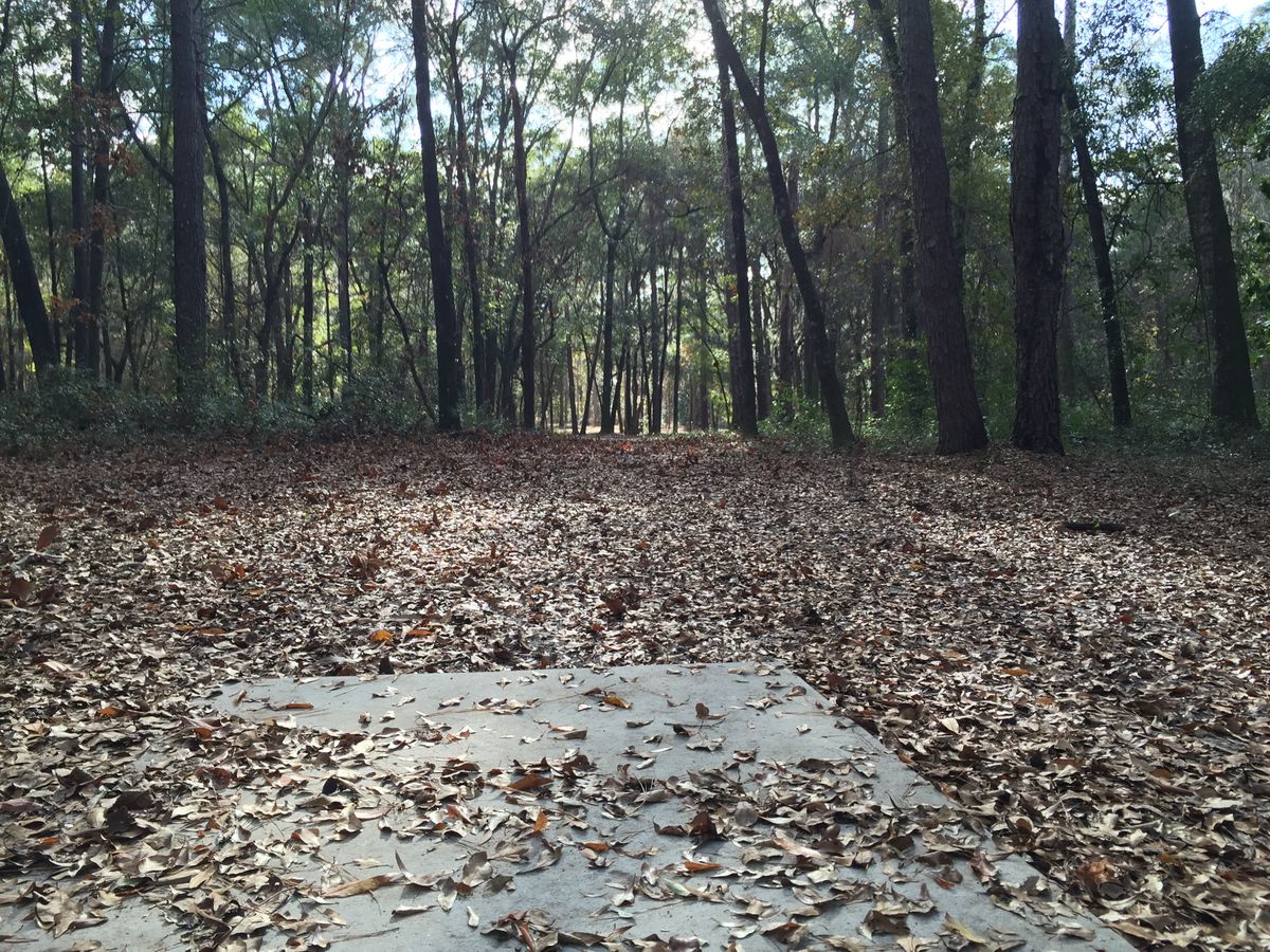 Hole 6