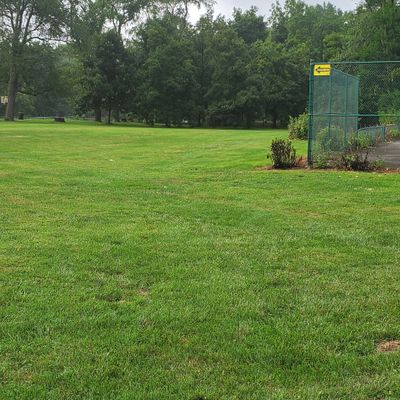 Hole 1 tee to basket