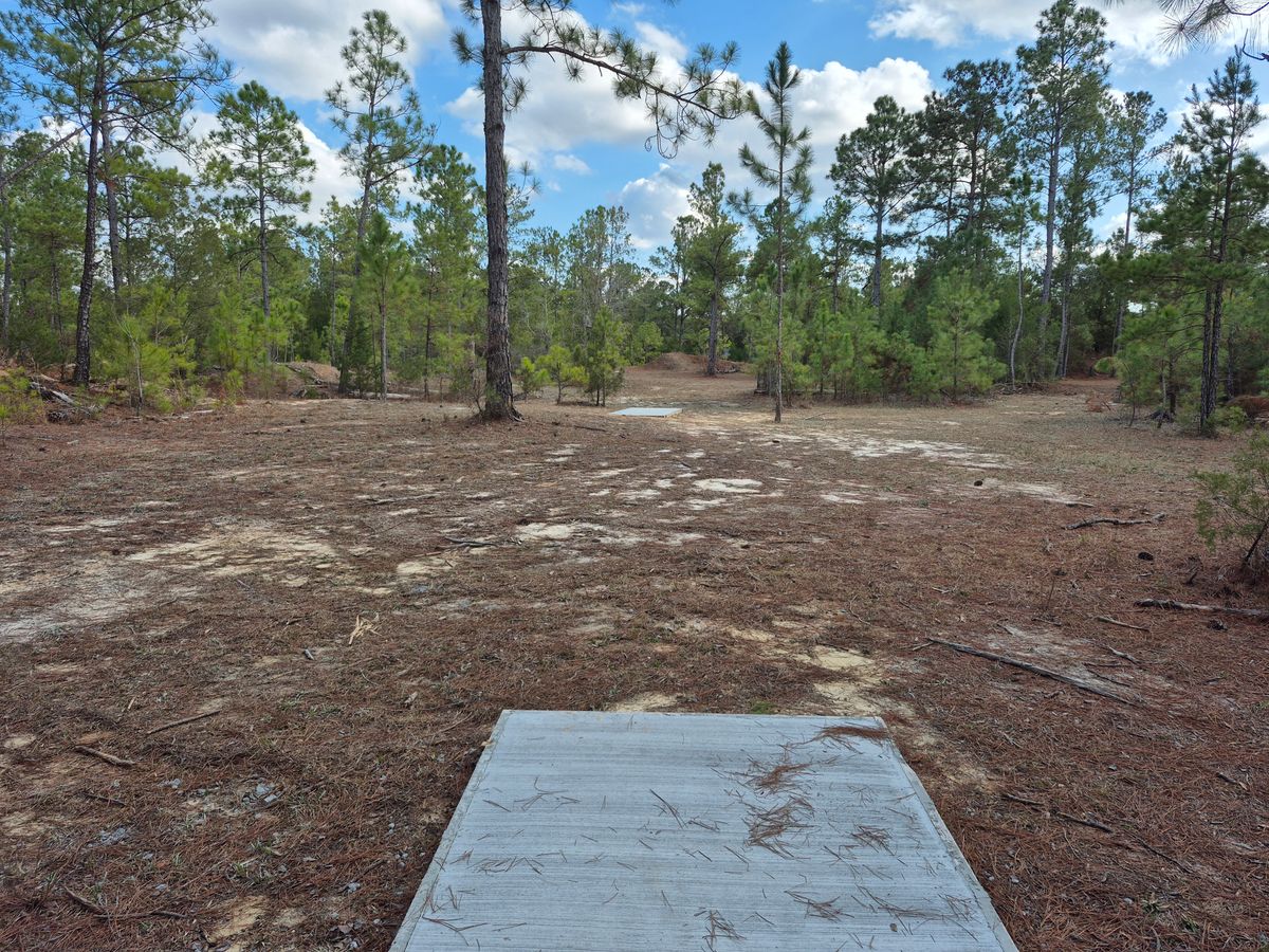 Hole 15 long pad