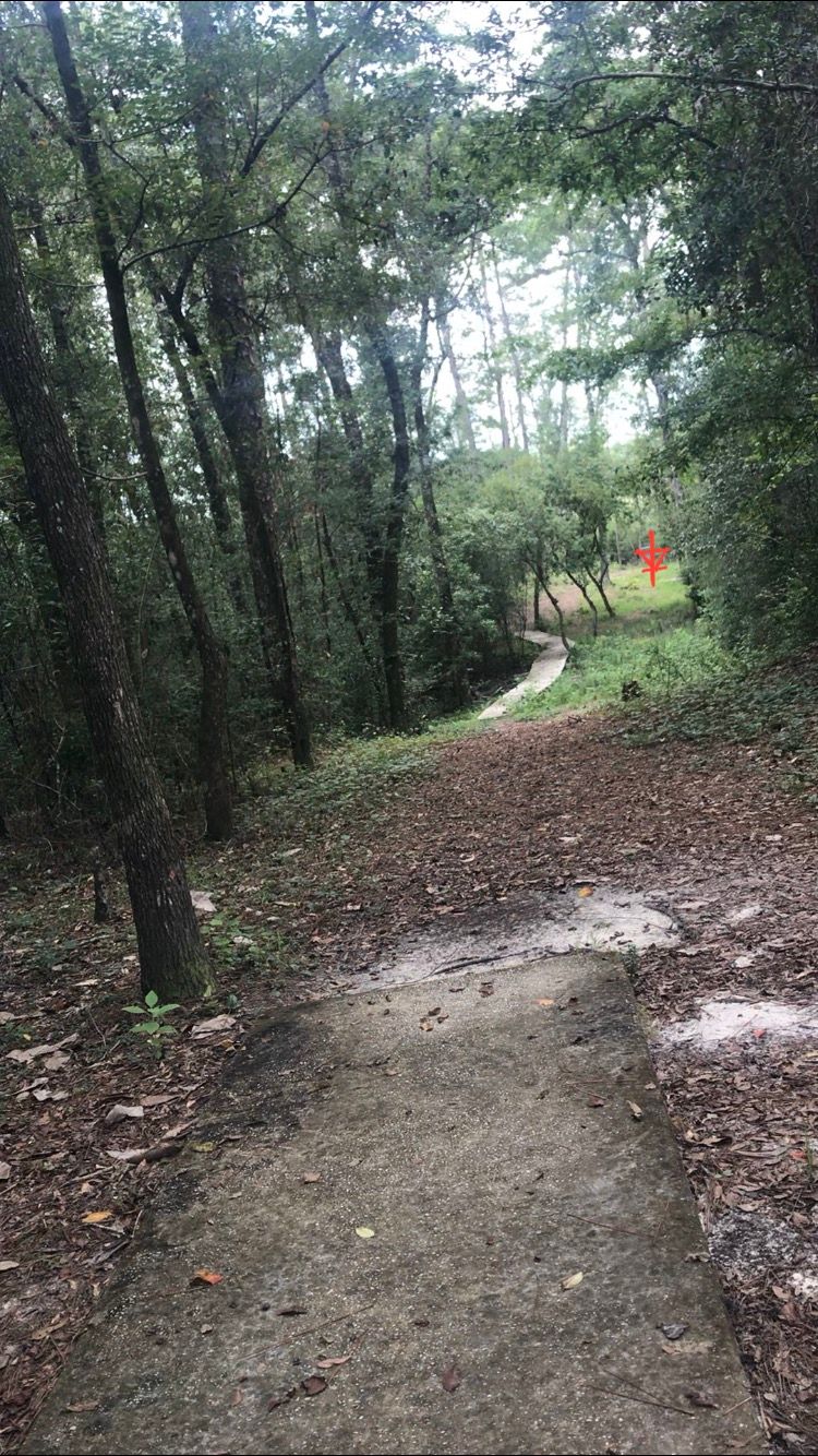 Hole 16: 250’ straight from the teepad
