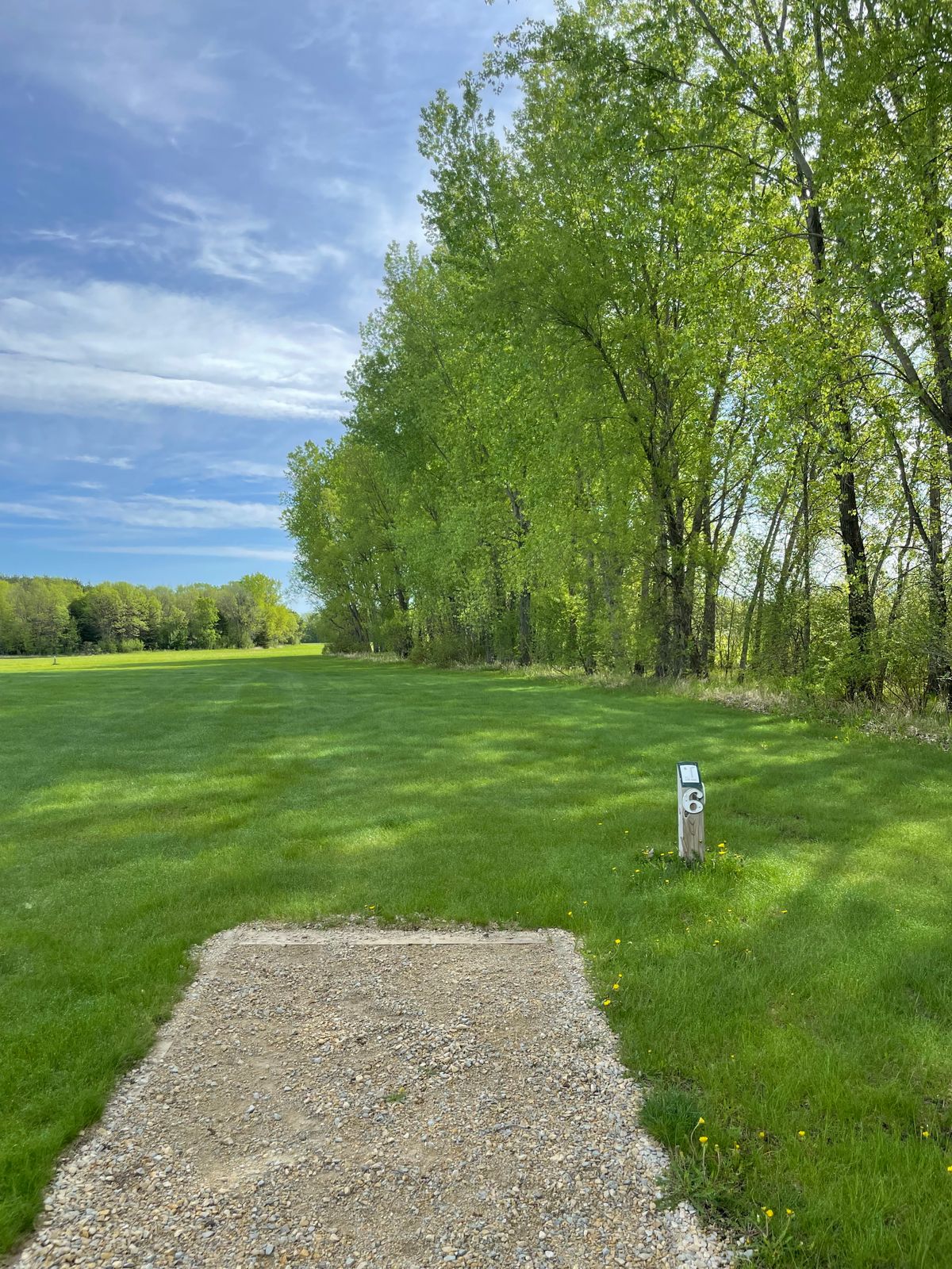 Hole 6 tee