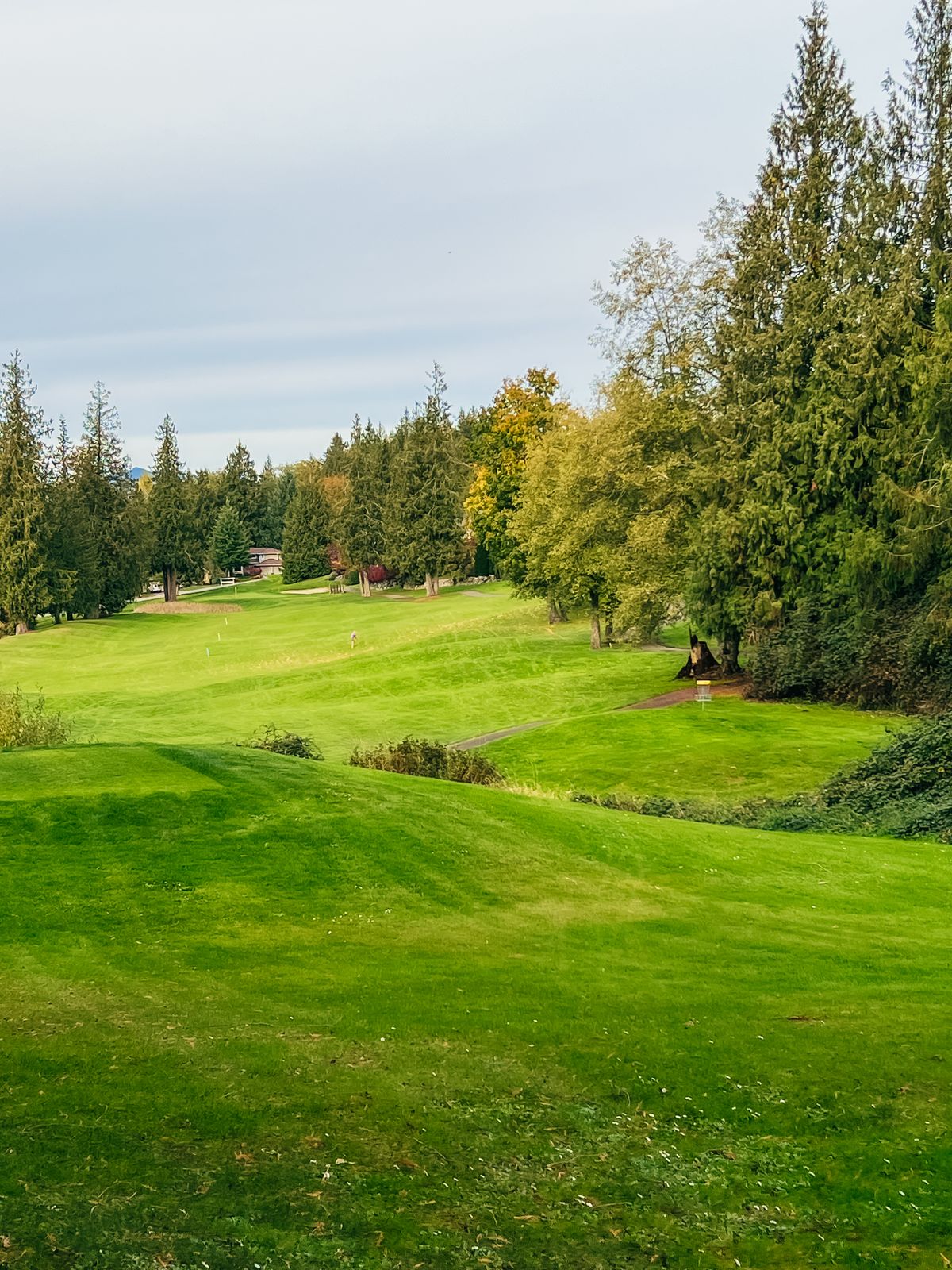 Hole 10