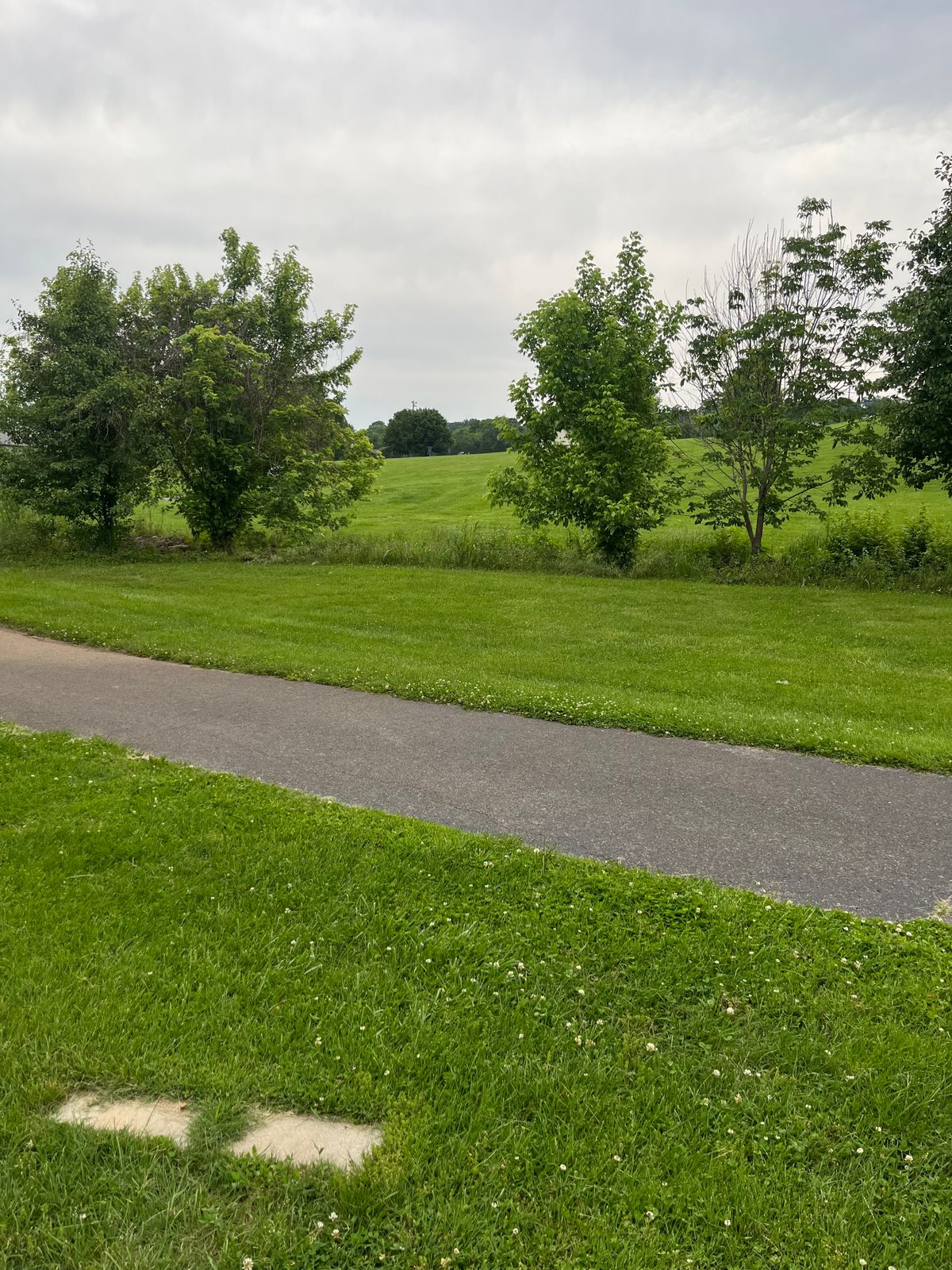Hole 8
