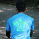 o1turt1esru1e