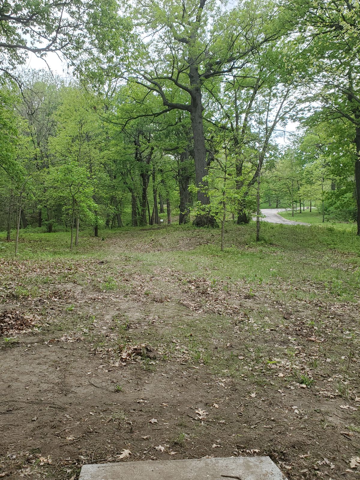 New Hole 6 as of May 9th, 2023