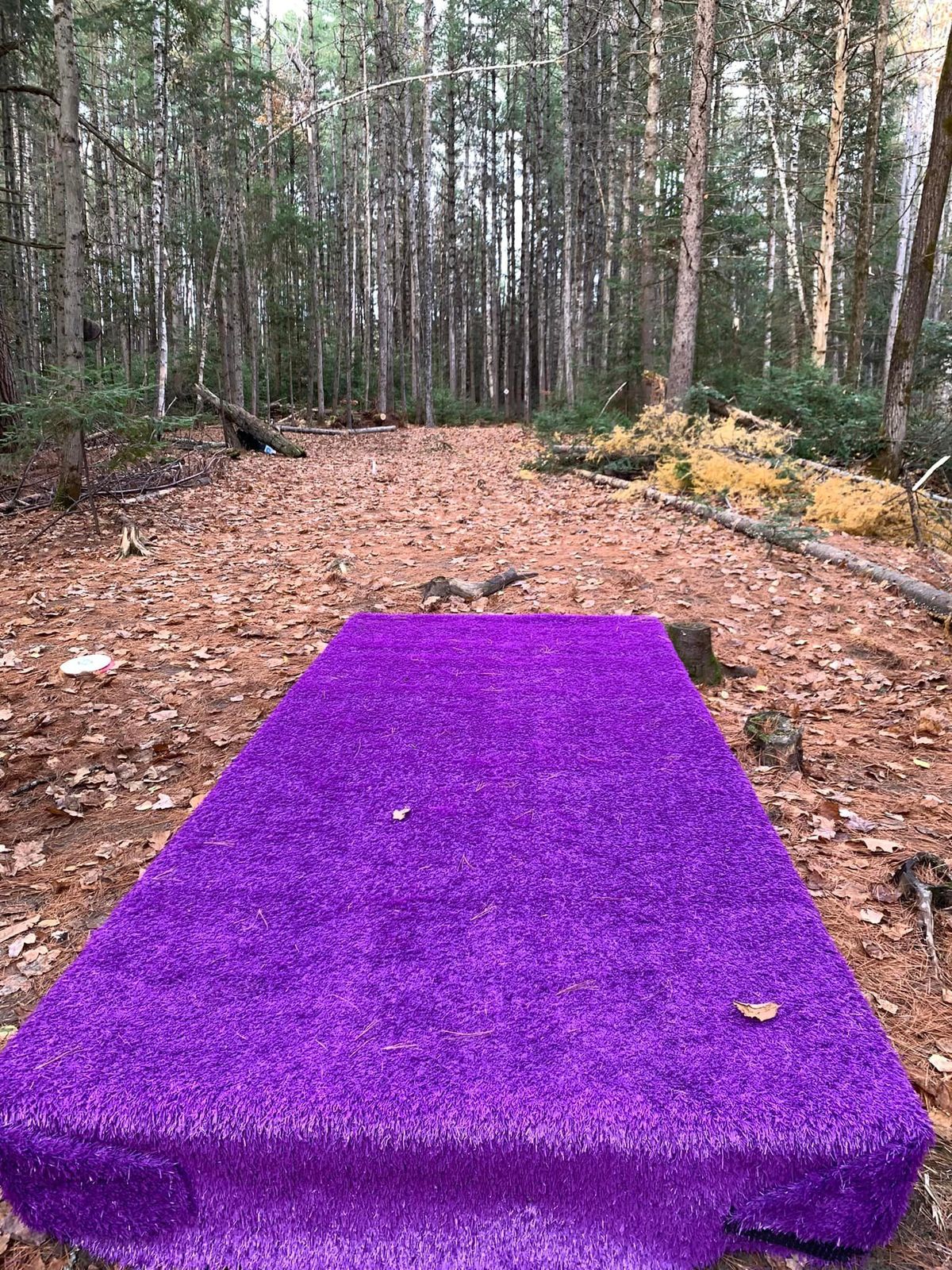 The famous purple tee deck. We've seen this on Facebook, Reddit, and all over the internet. This is purple because hole #14's sponsor is Ecclestone Cycle. They are know as "Possibly the greatest purple cycle shop on the planet". Their slogan is "Think Purple. Think Bike." - They have a purple store, purple cars, and well, you get the picture.